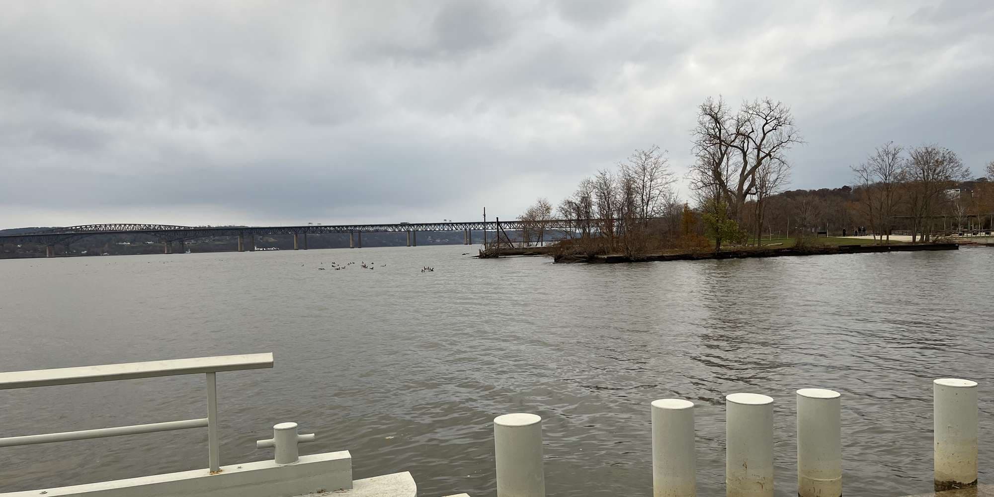 Second image to compare