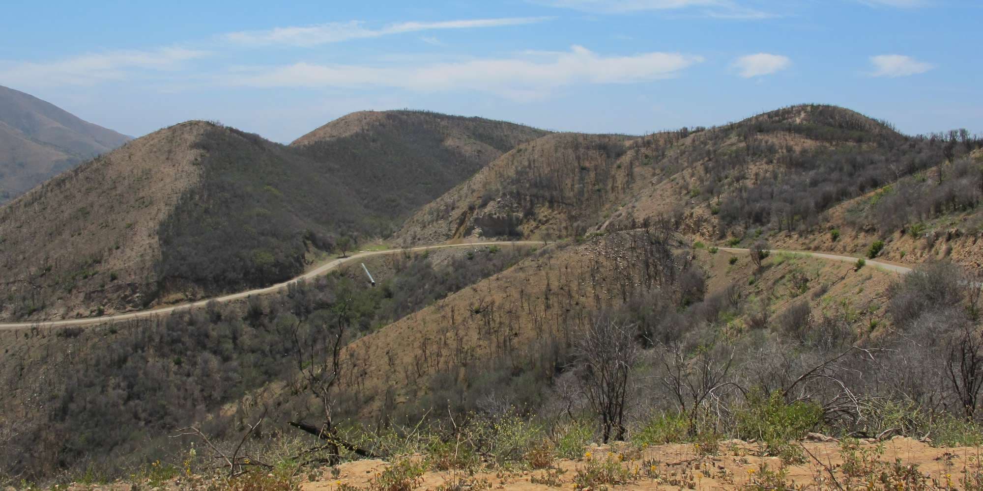 First image to compare