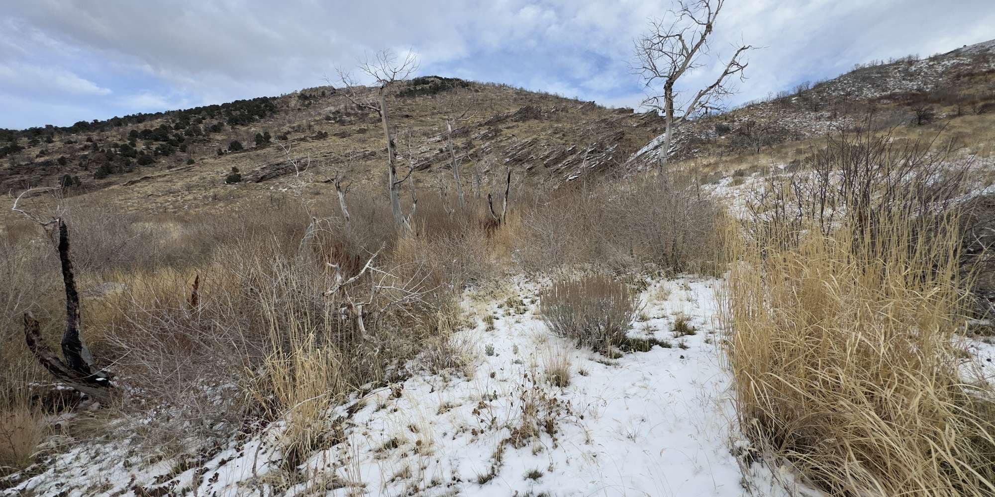 Second image to compare