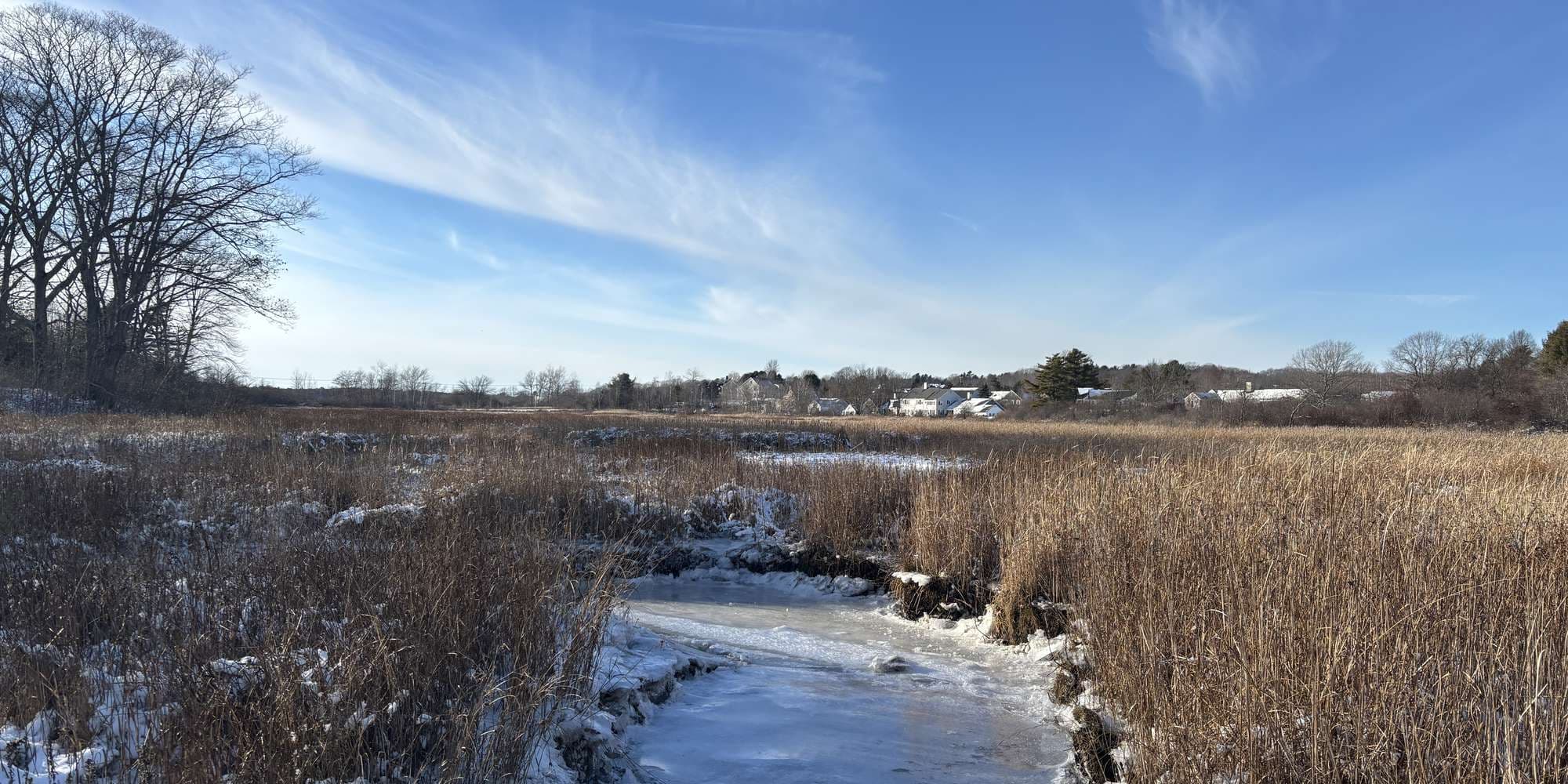 Second image to compare