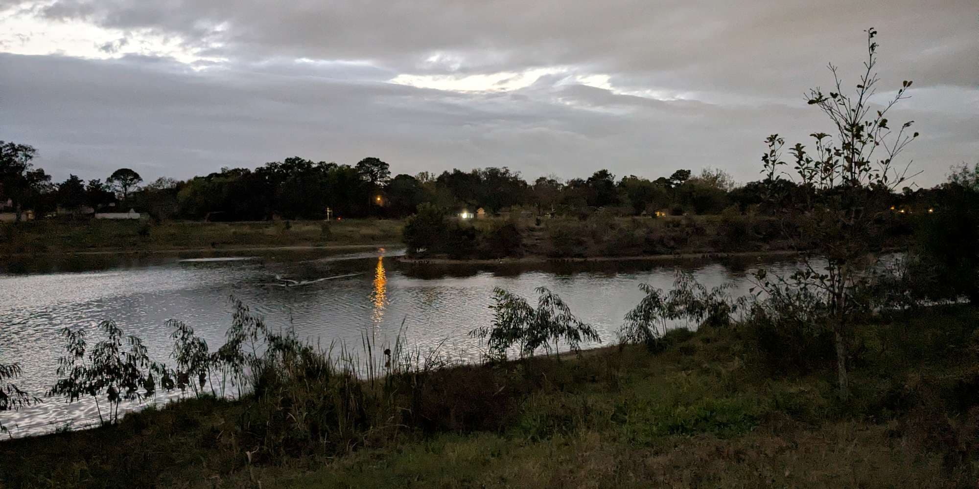 Second image to compare