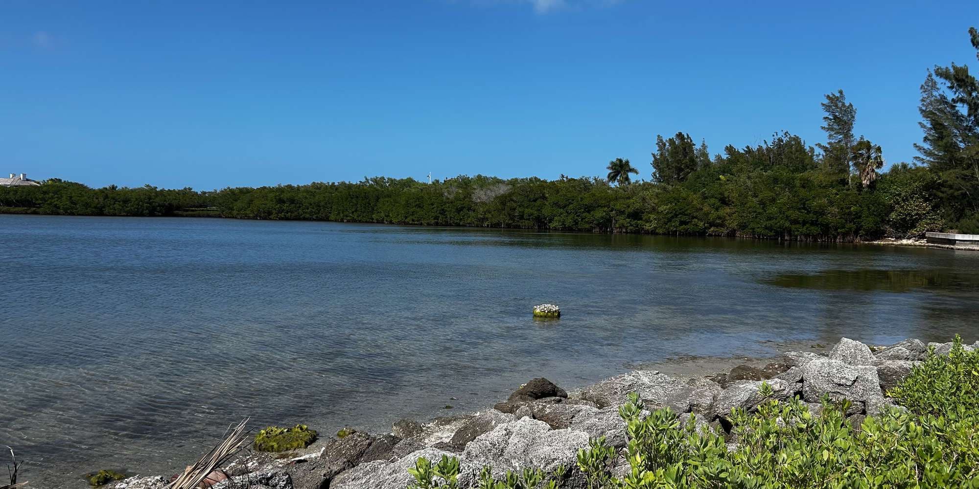 First image to compare