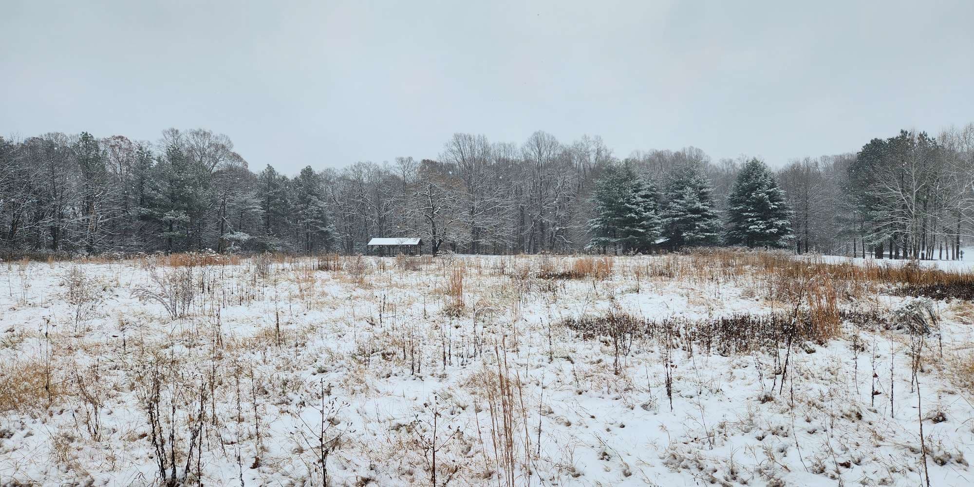 Second image to compare