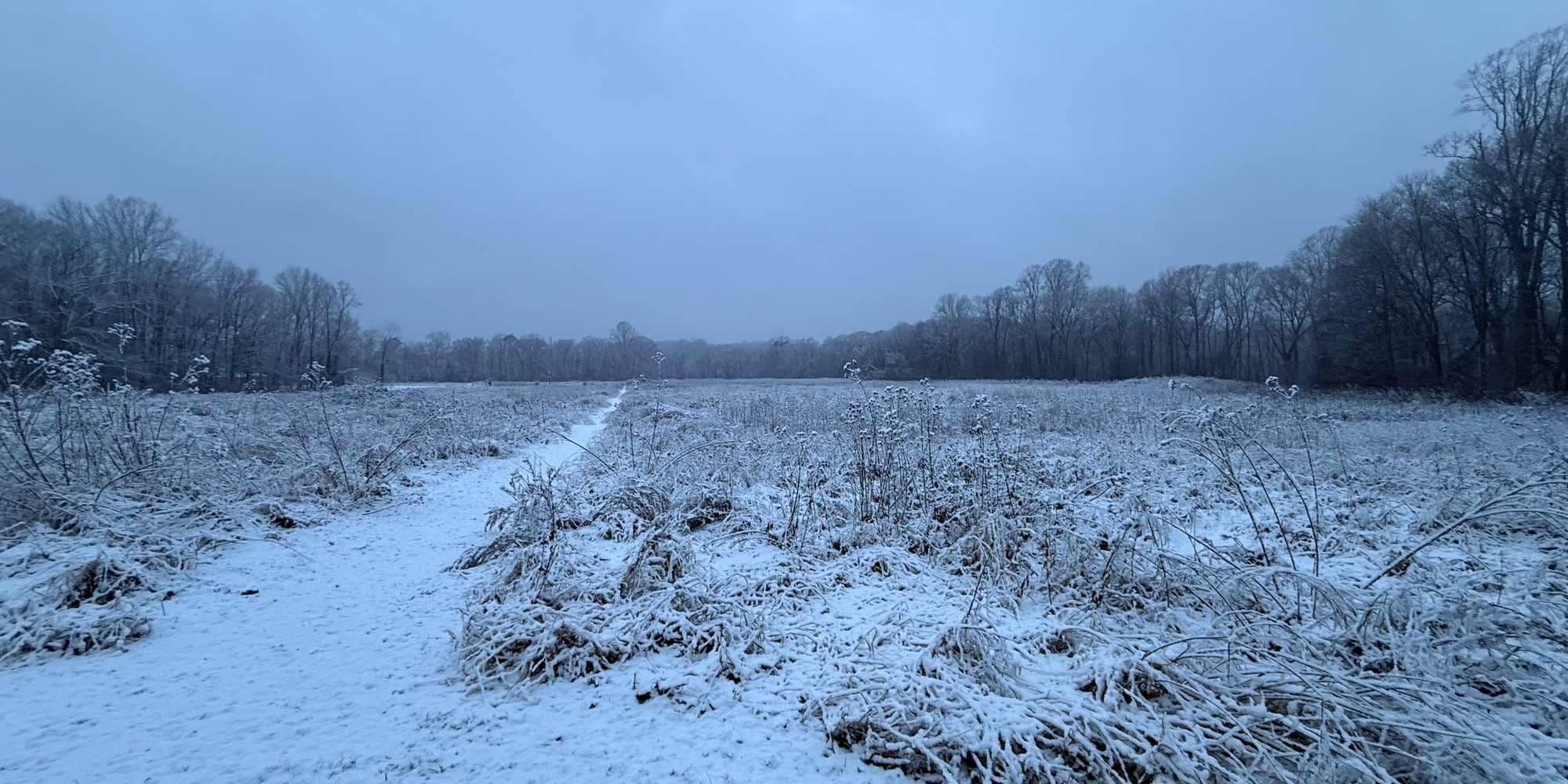 Second image to compare