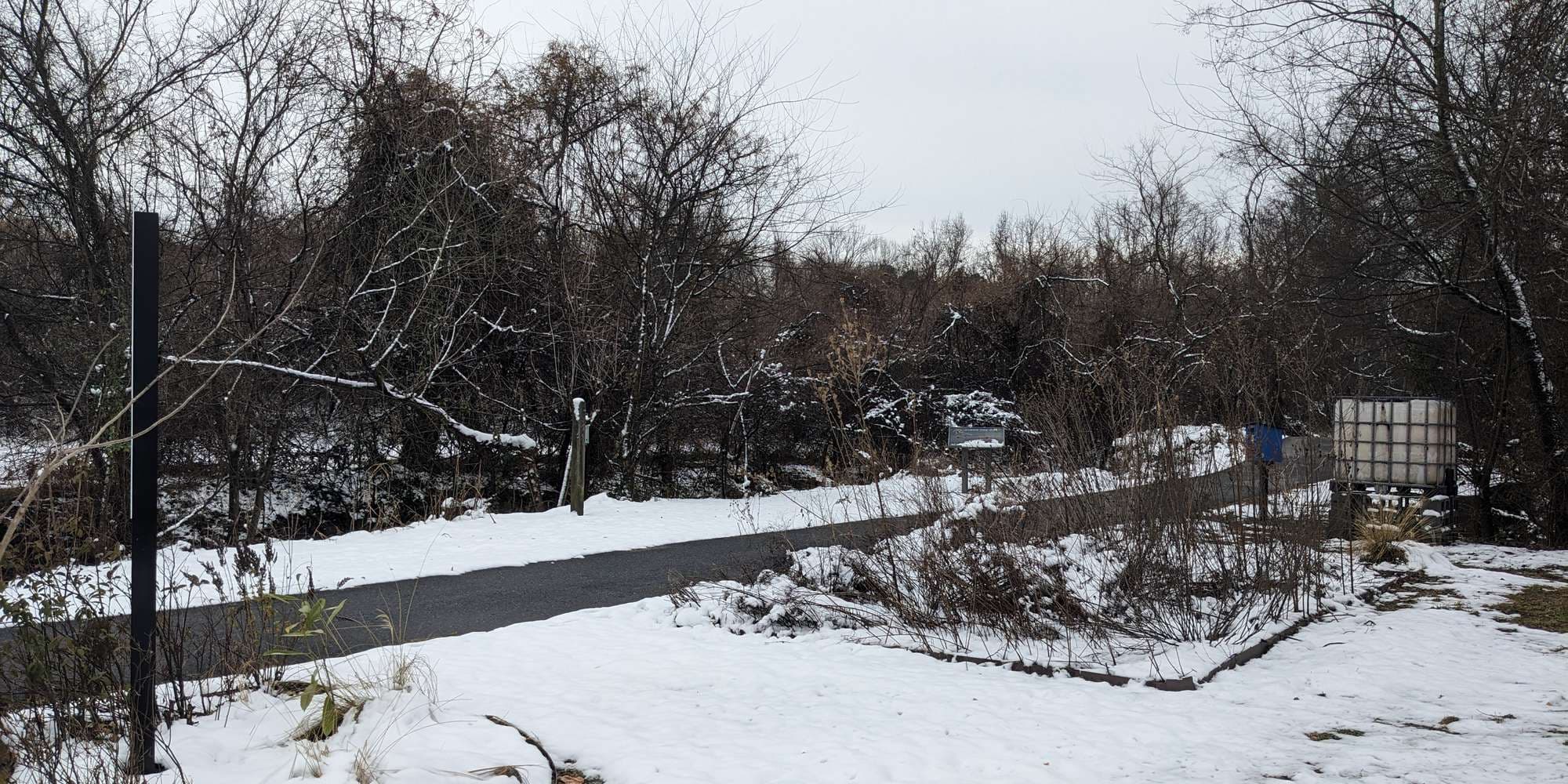 Second image to compare