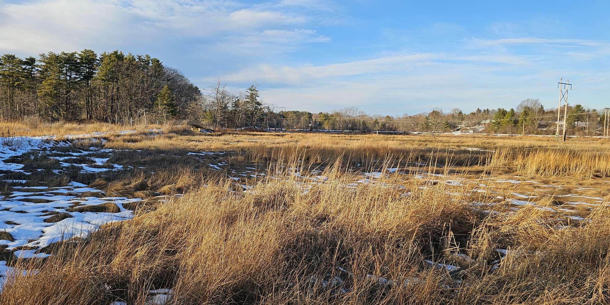 Second image to compare