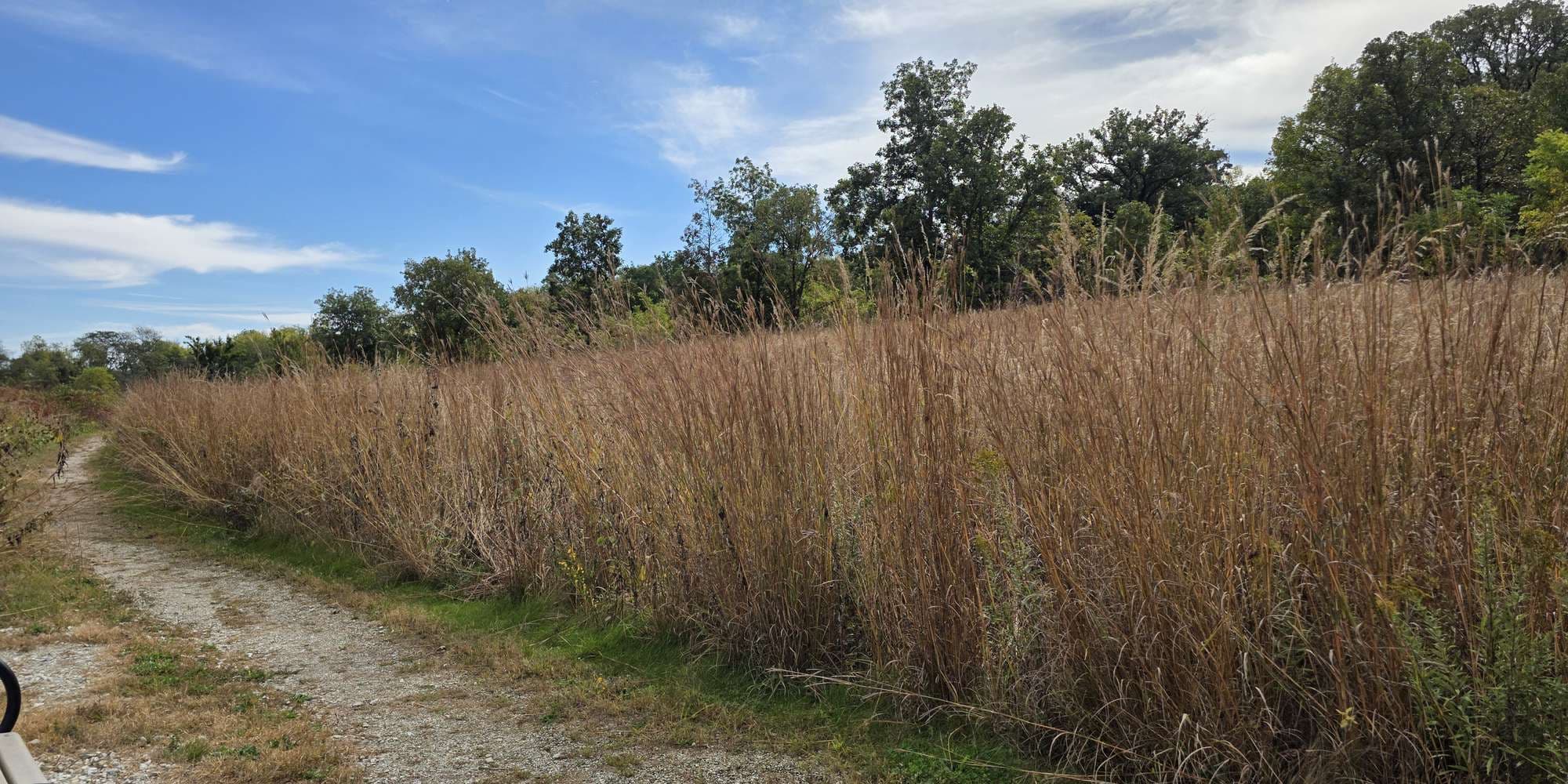 Second image to compare