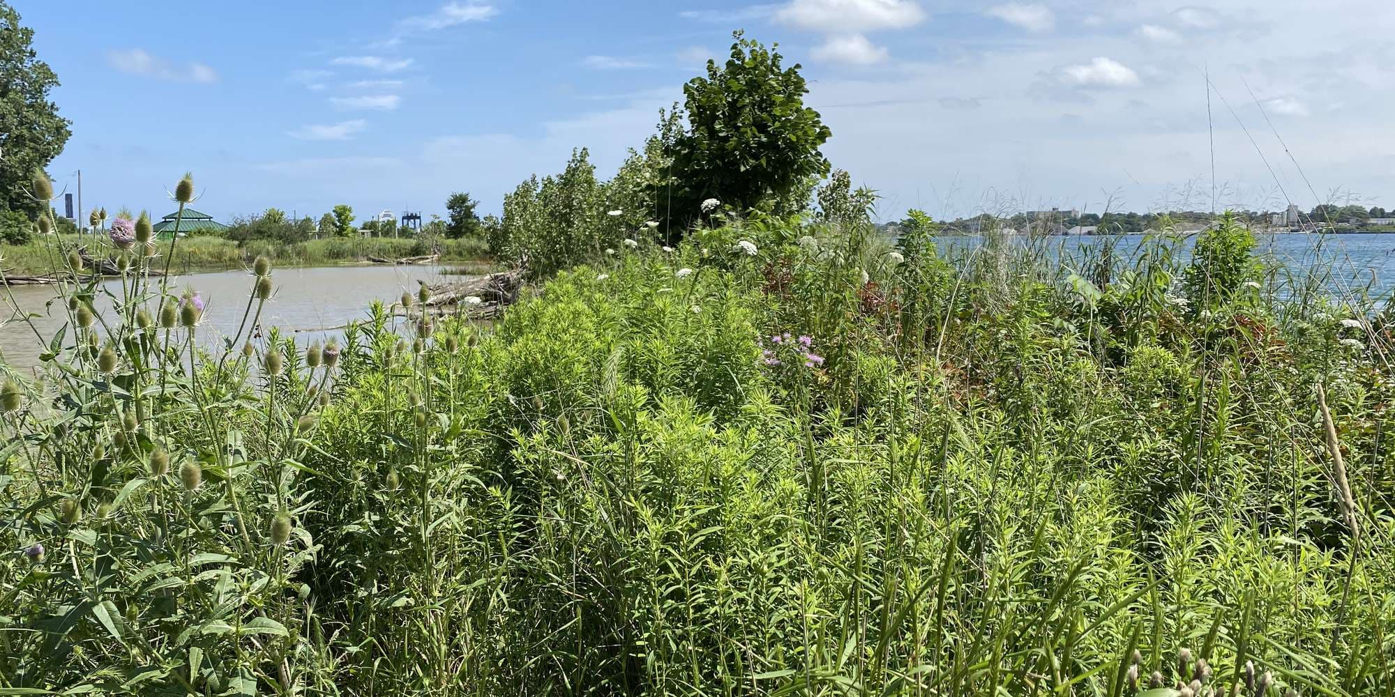 First image to compare