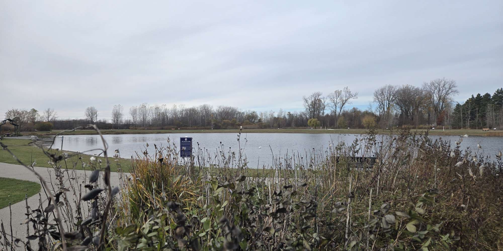 Second image to compare