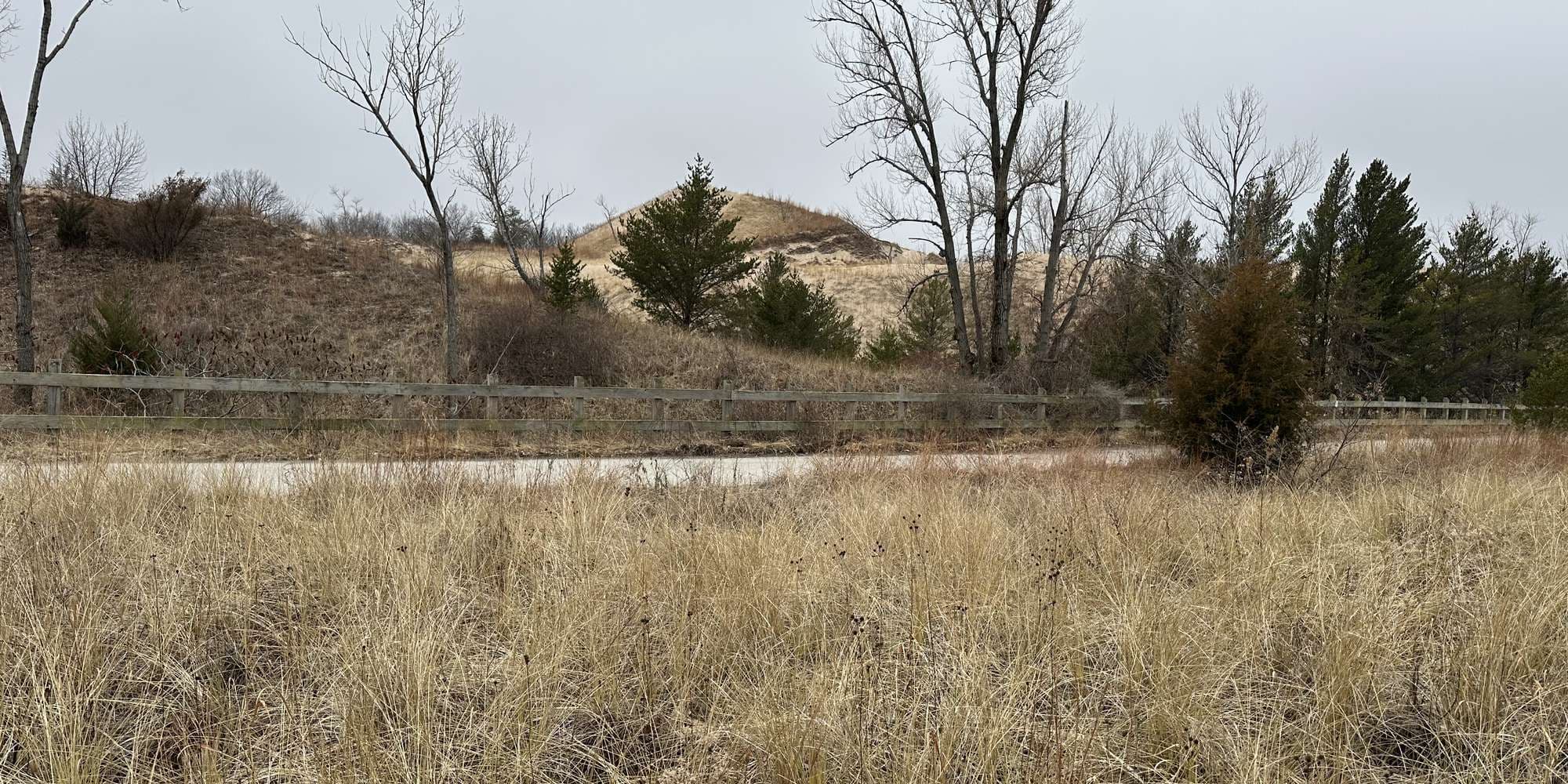 Second image to compare