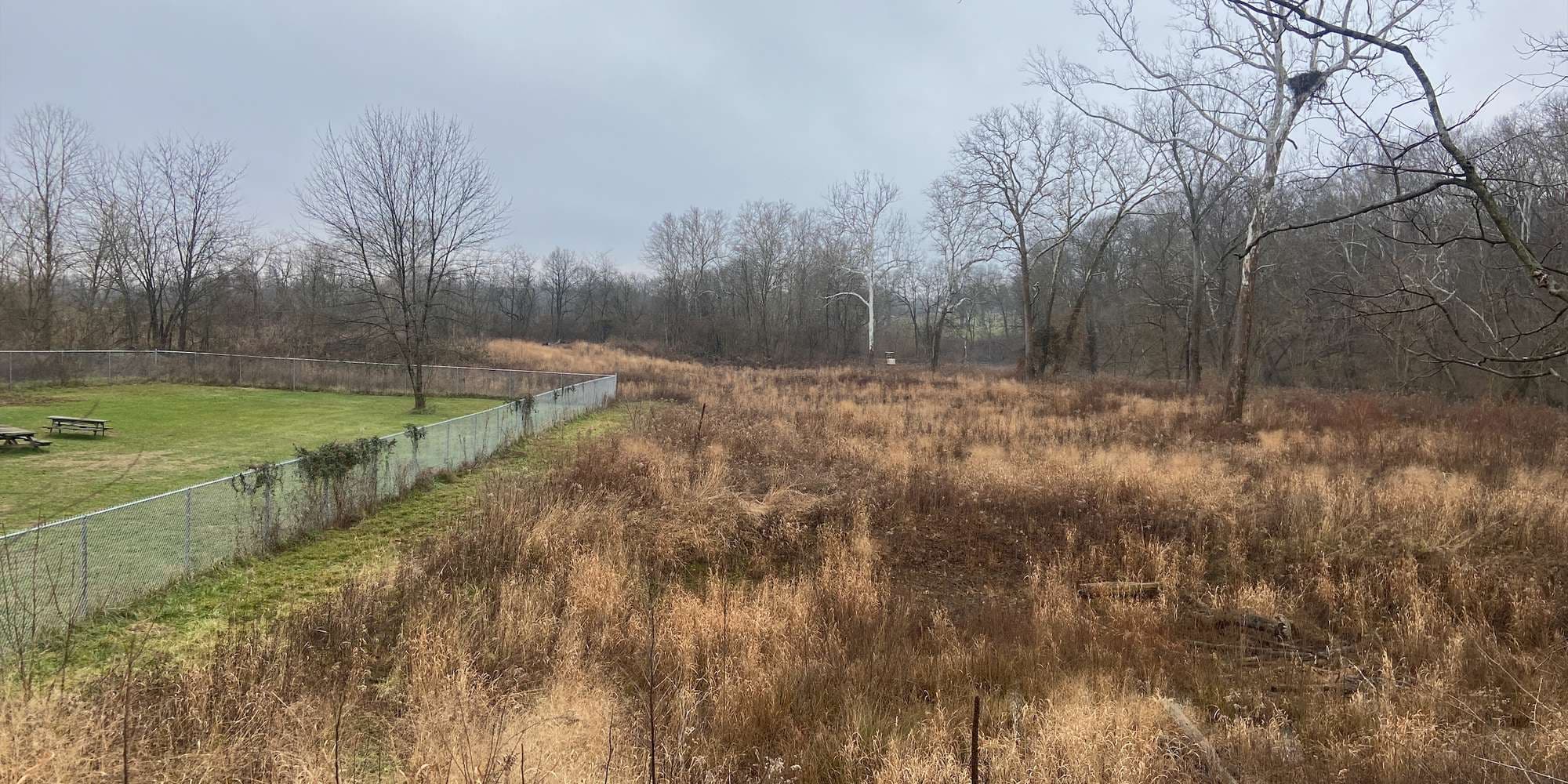 Second image to compare