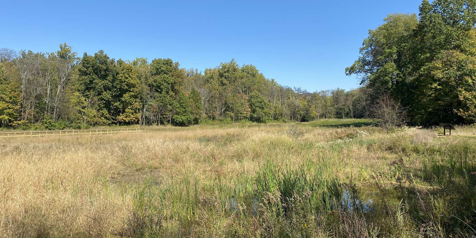 First image to compare