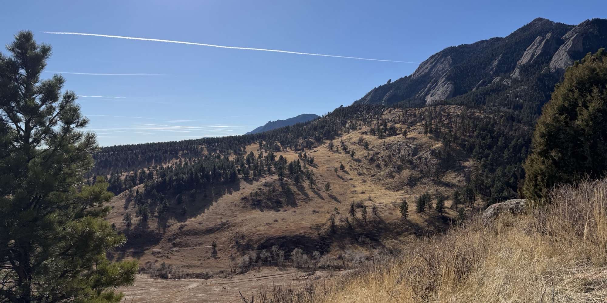 Second image to compare