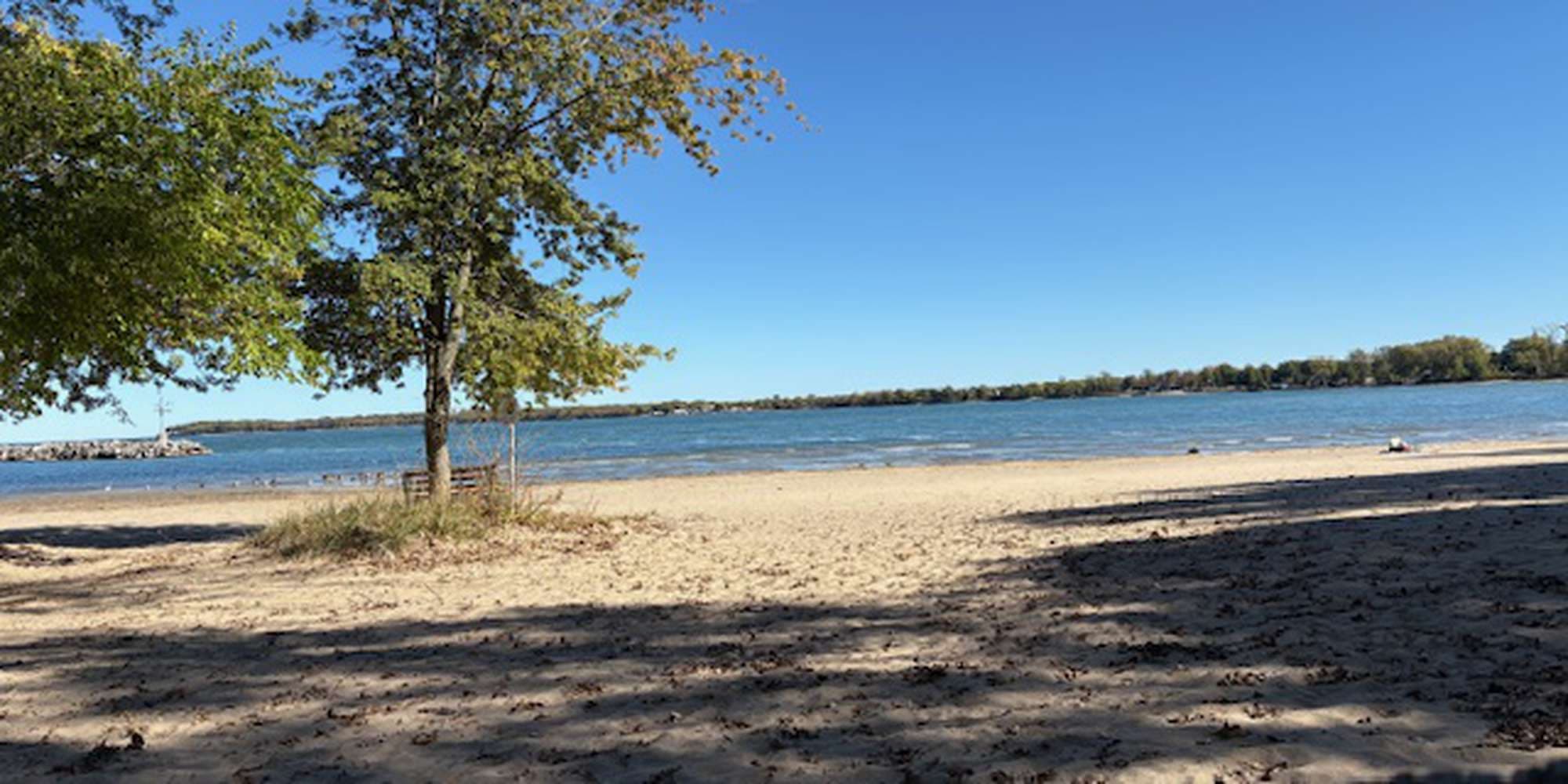 Second image to compare