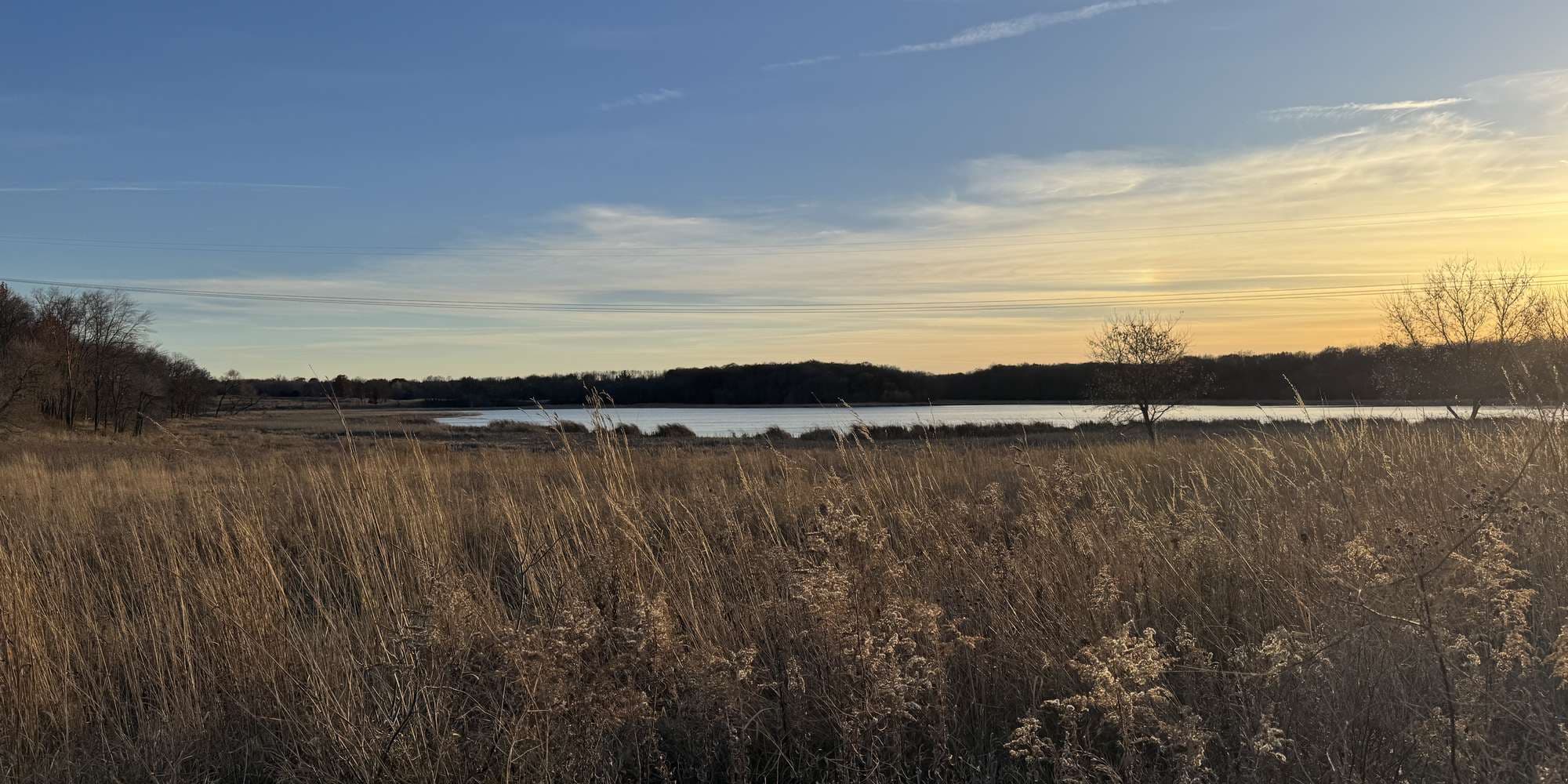 Second image to compare