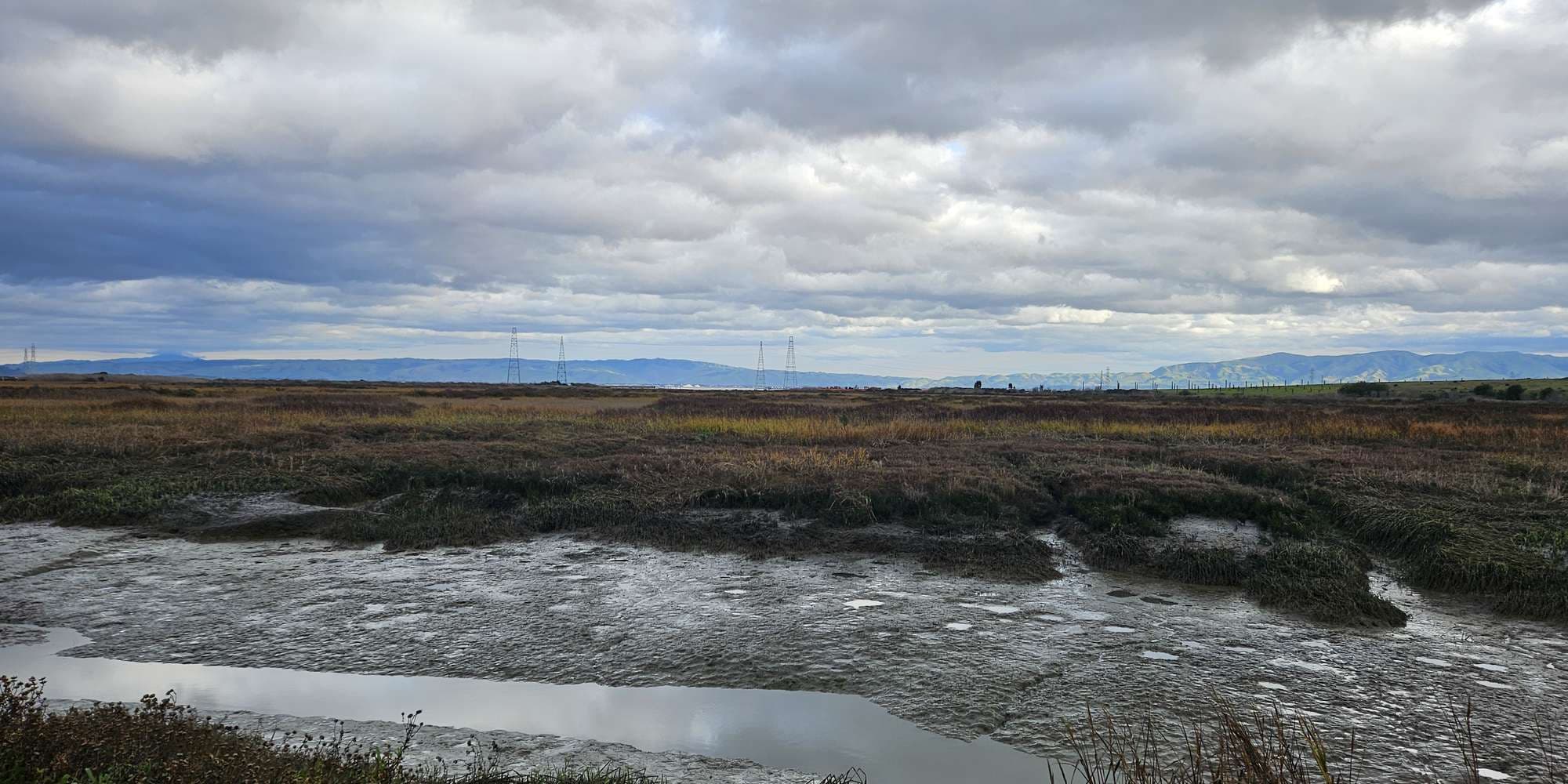 Second image to compare