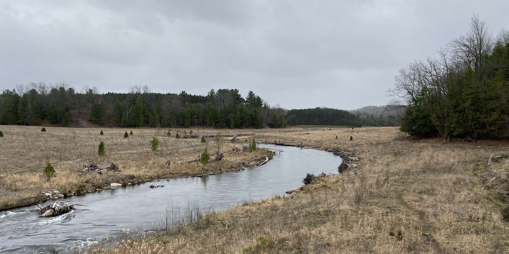 First image to compare