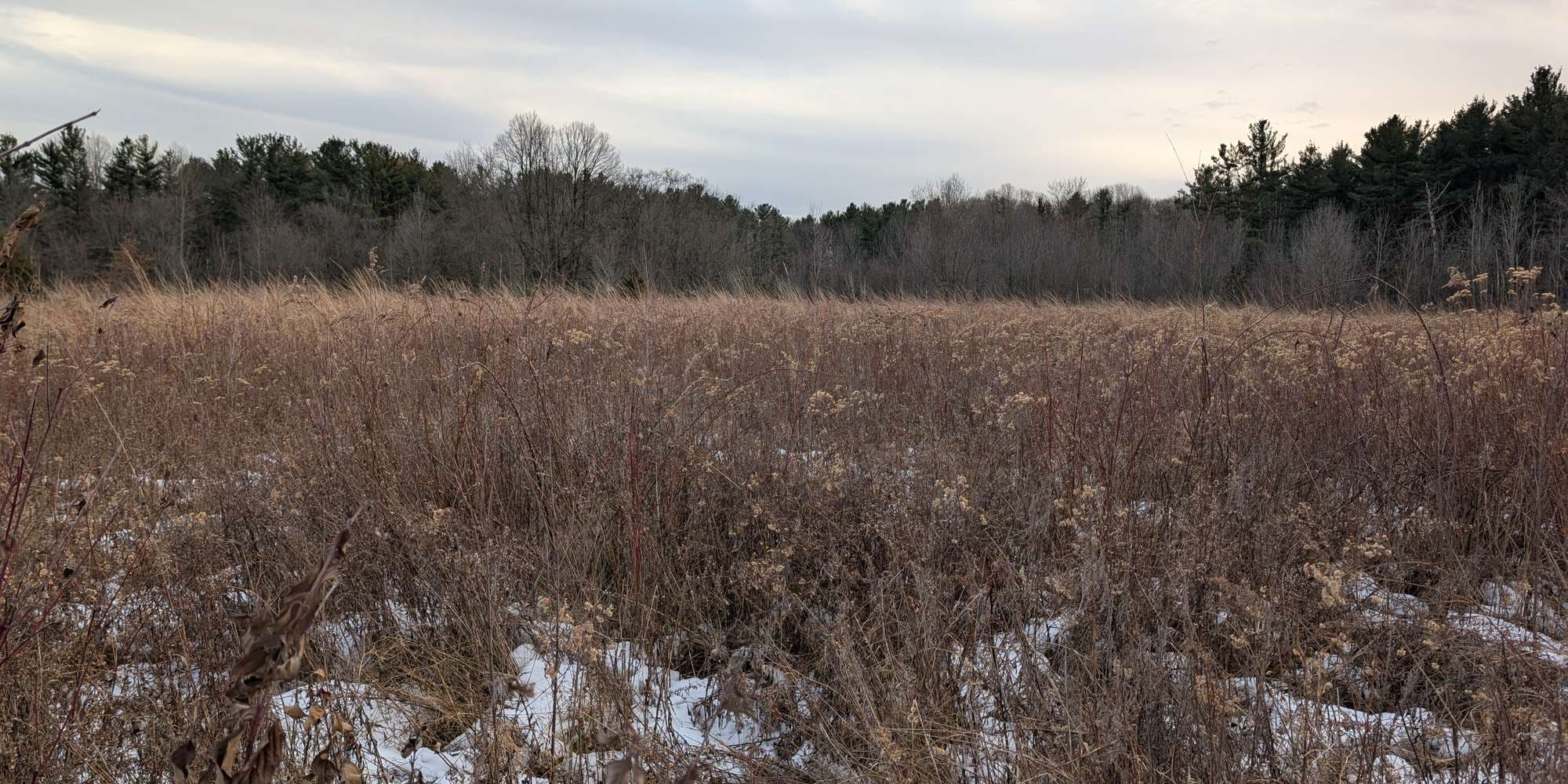 Second image to compare