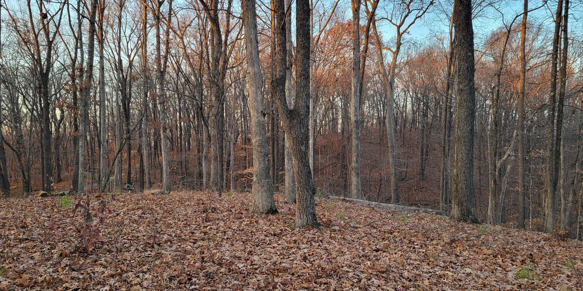 Second image to compare