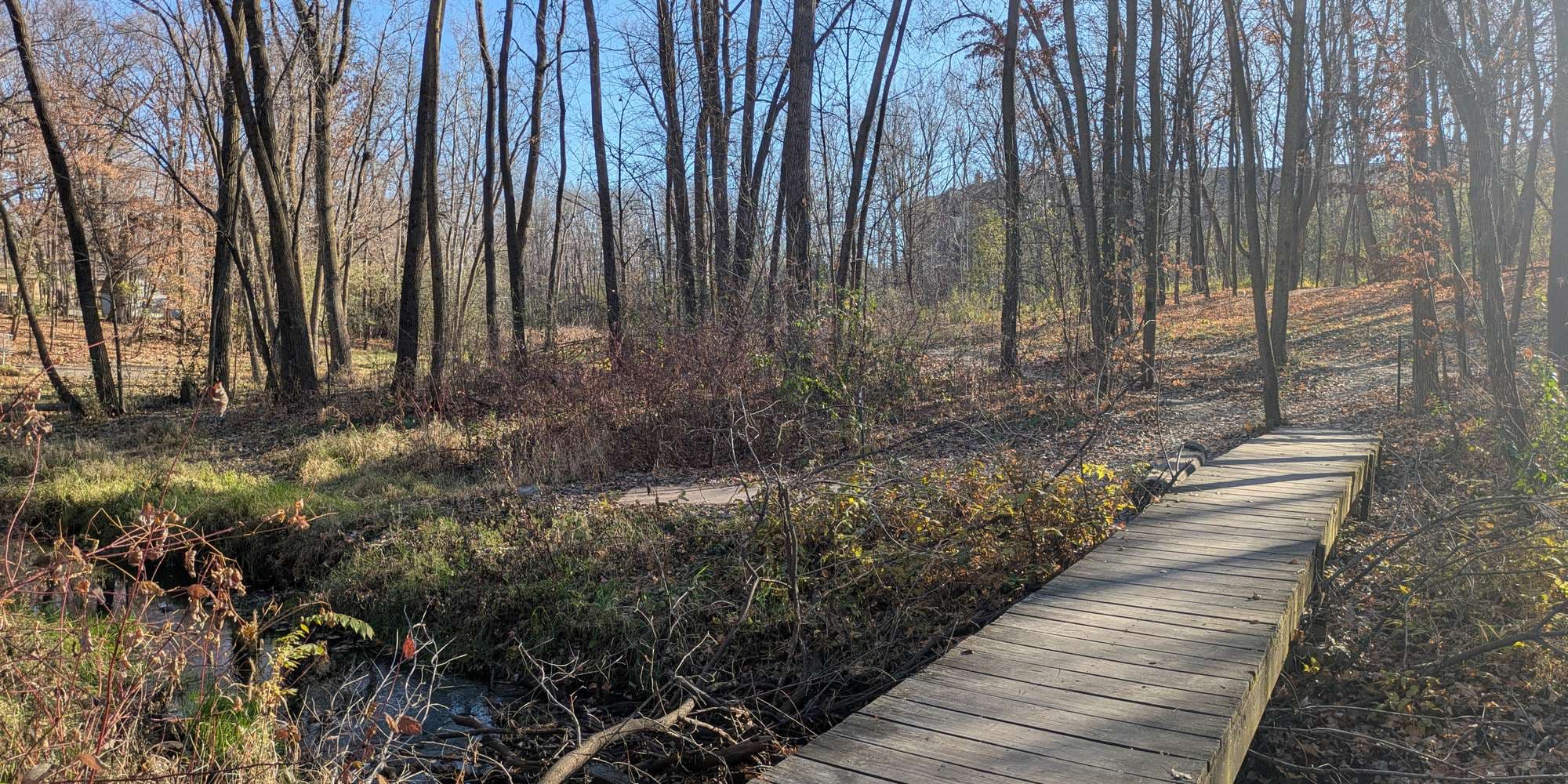 Second image to compare