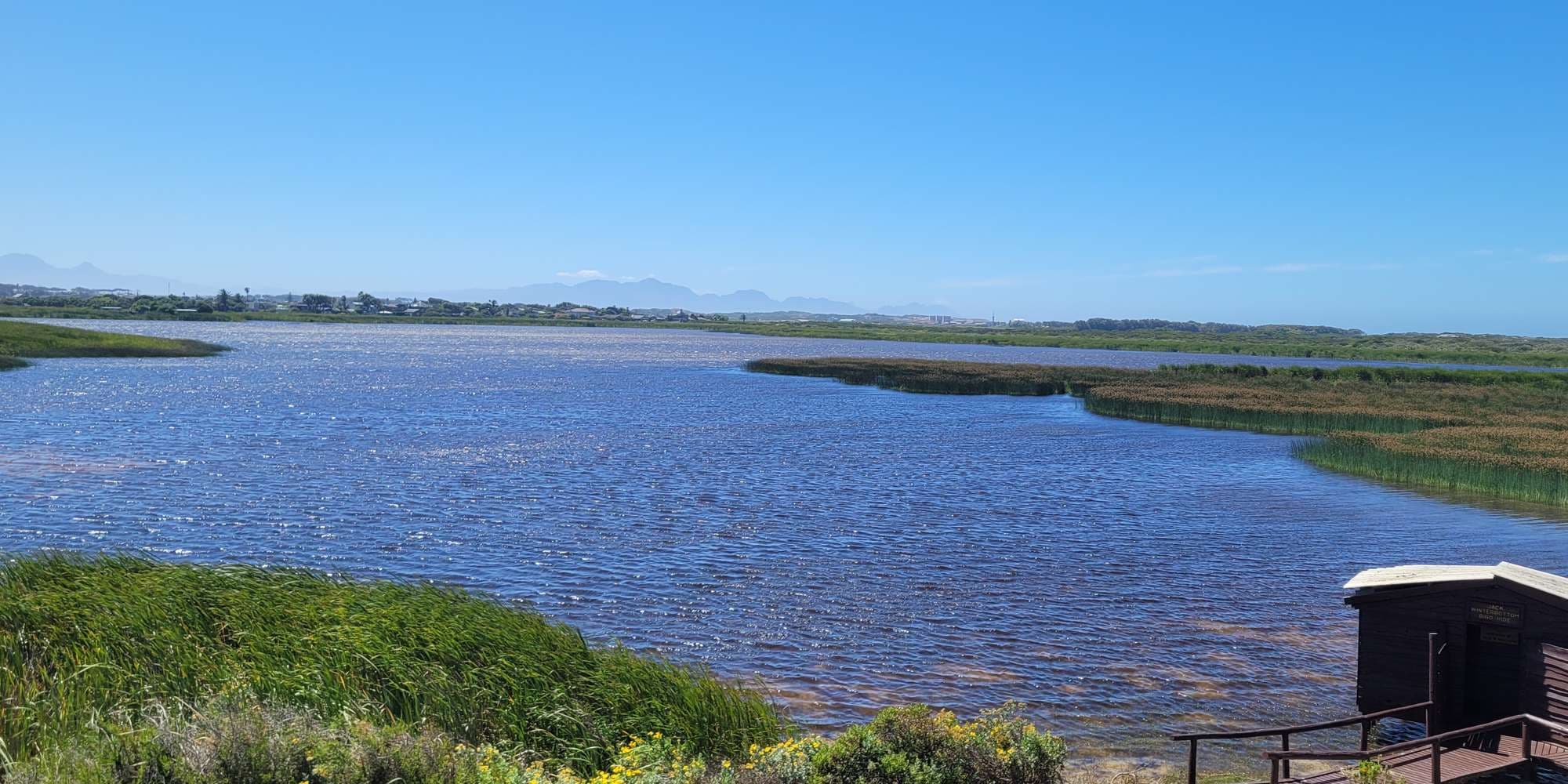 Second image to compare