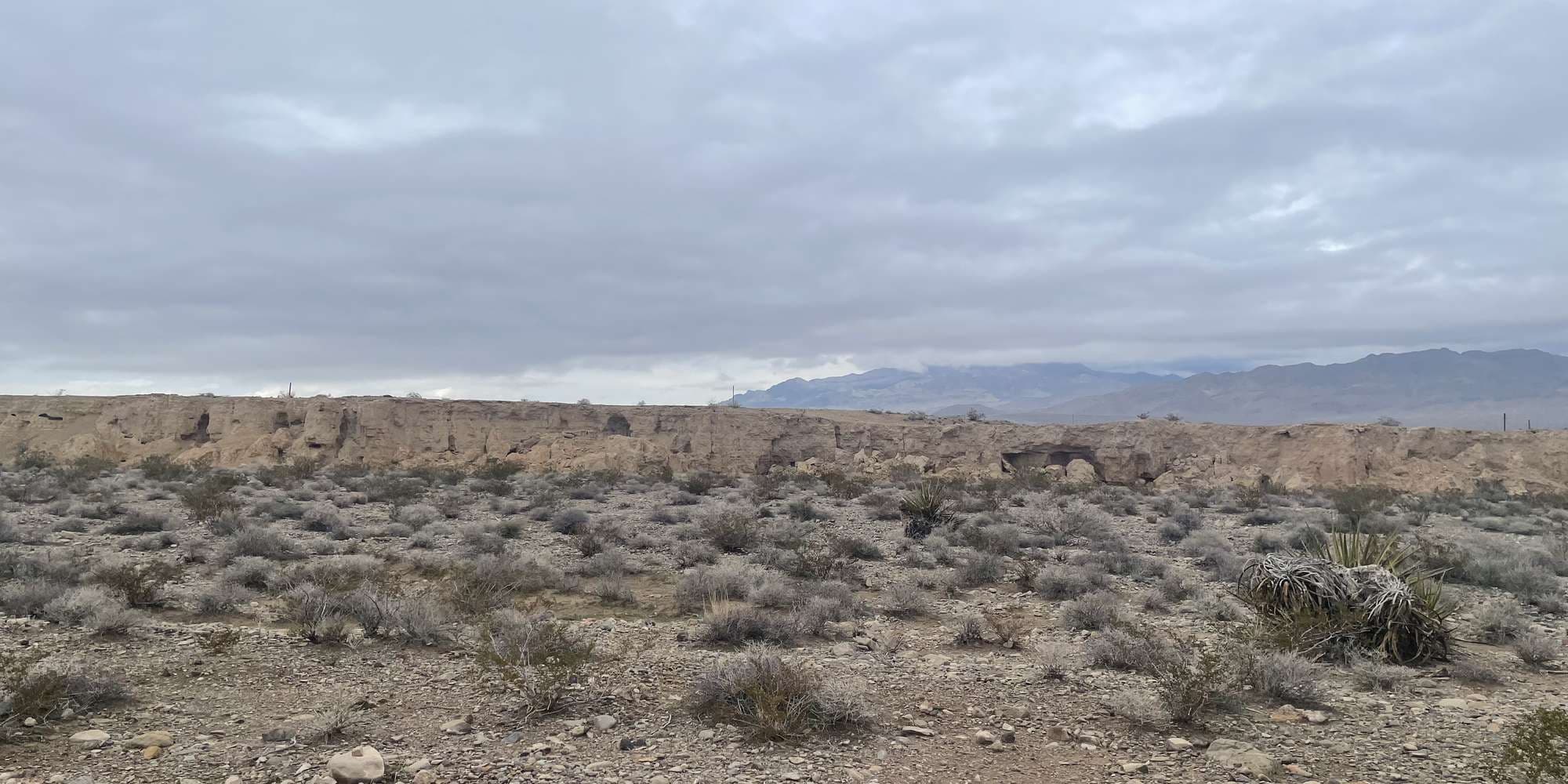 Second image to compare