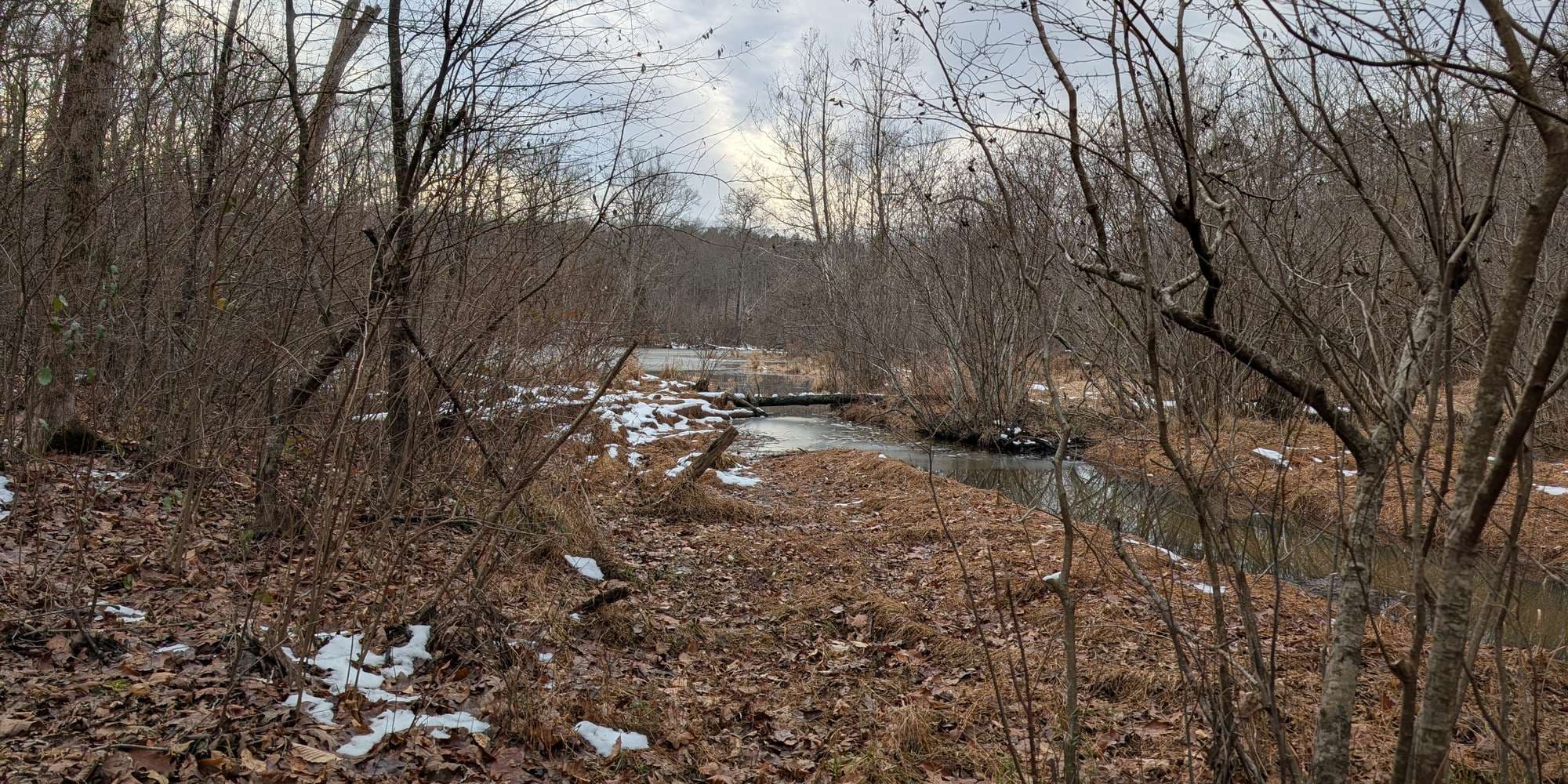 Second image to compare