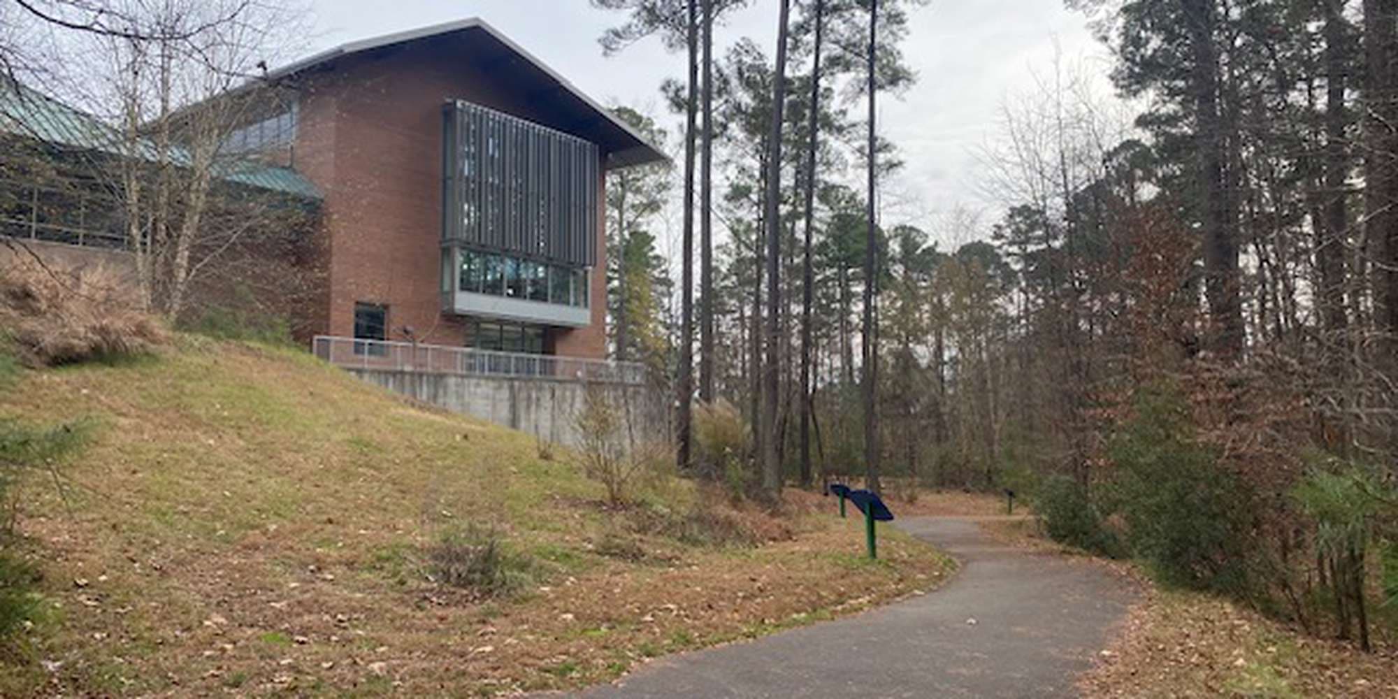 Second image to compare