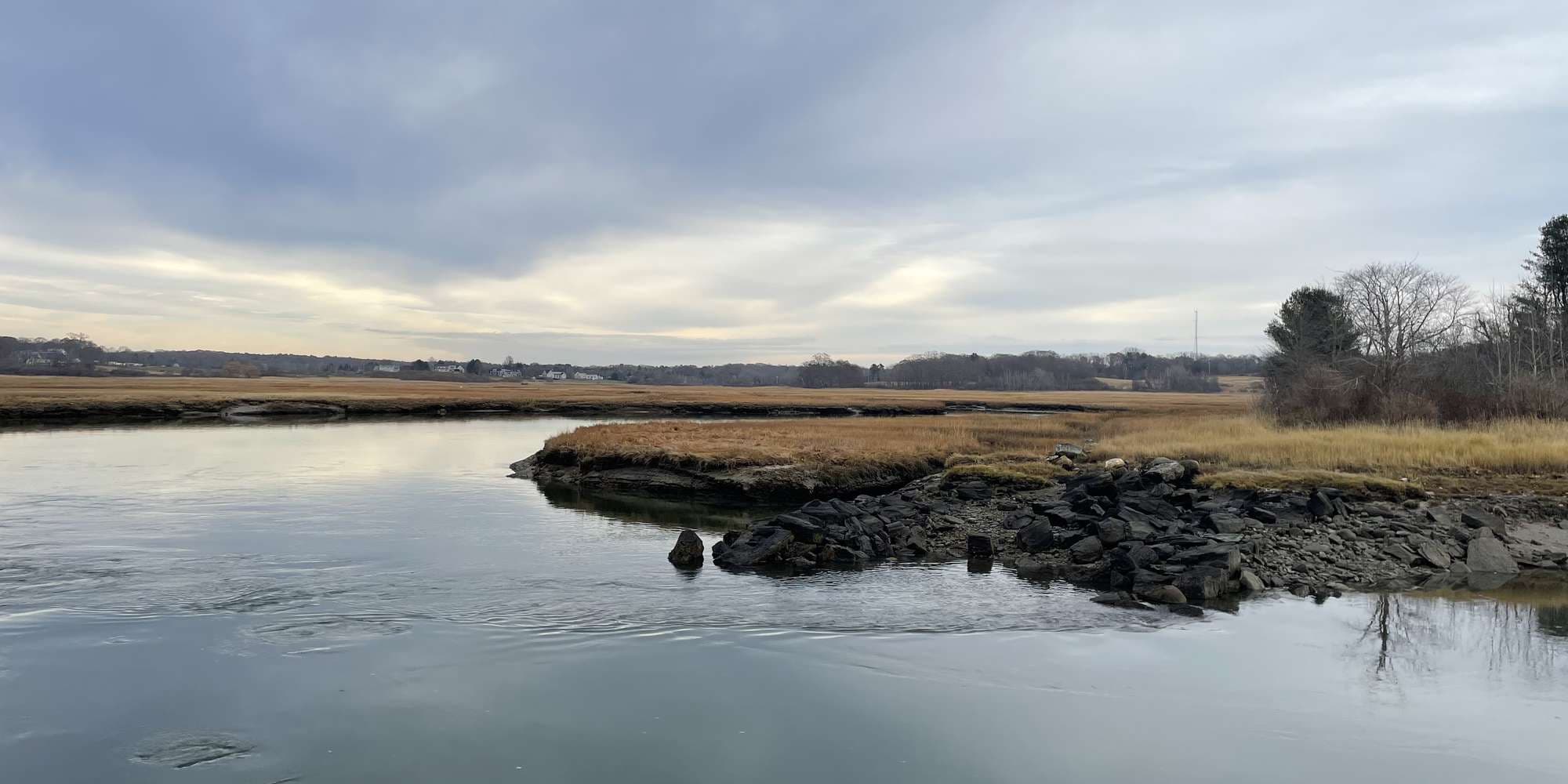 Second image to compare