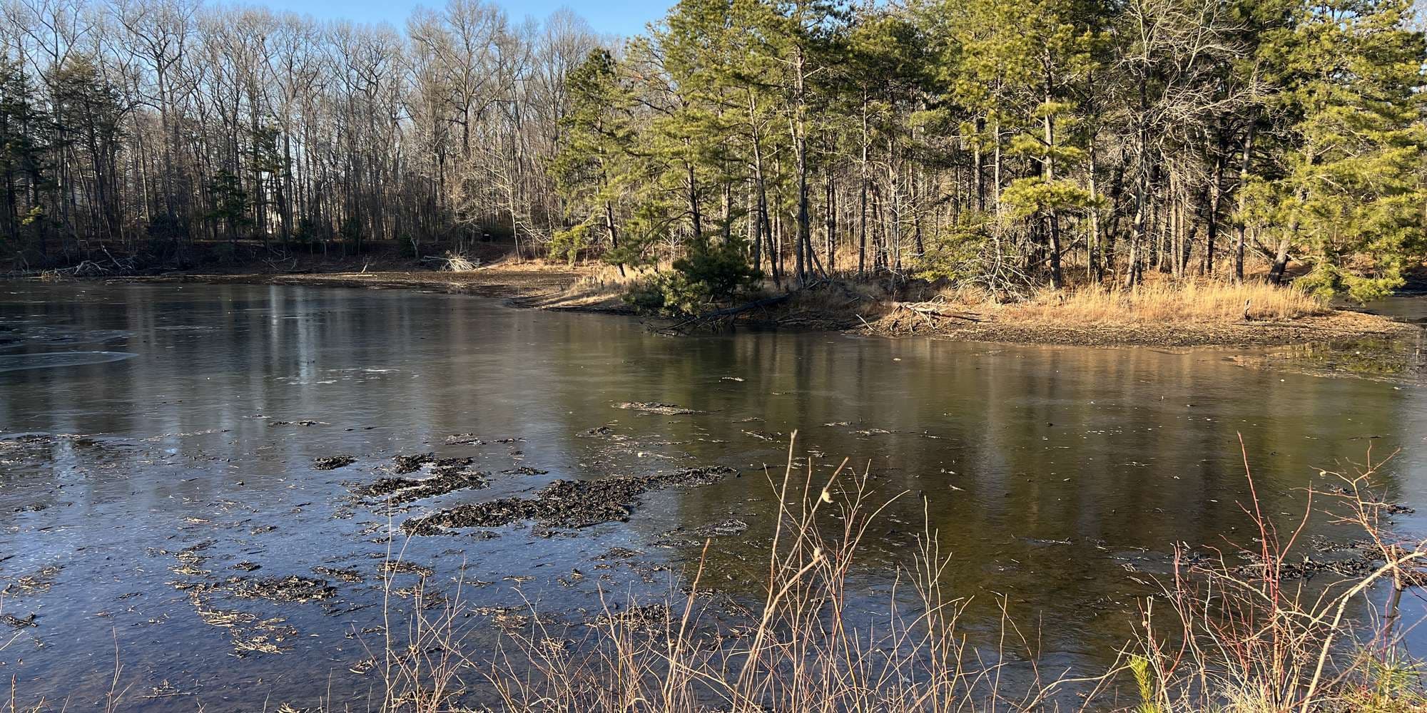 Second image to compare