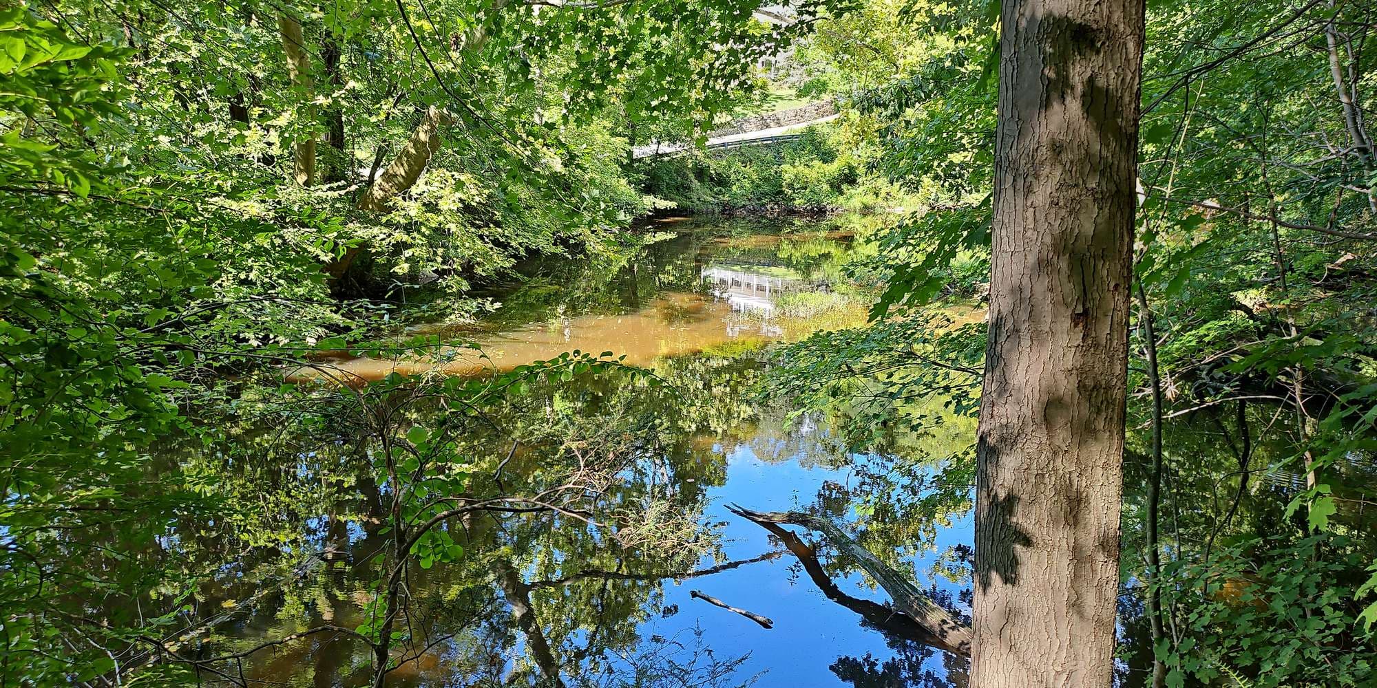 First image to compare