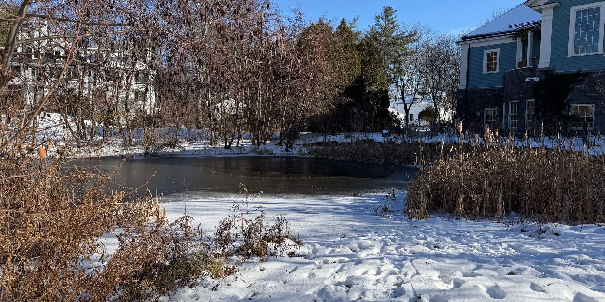 Second image to compare