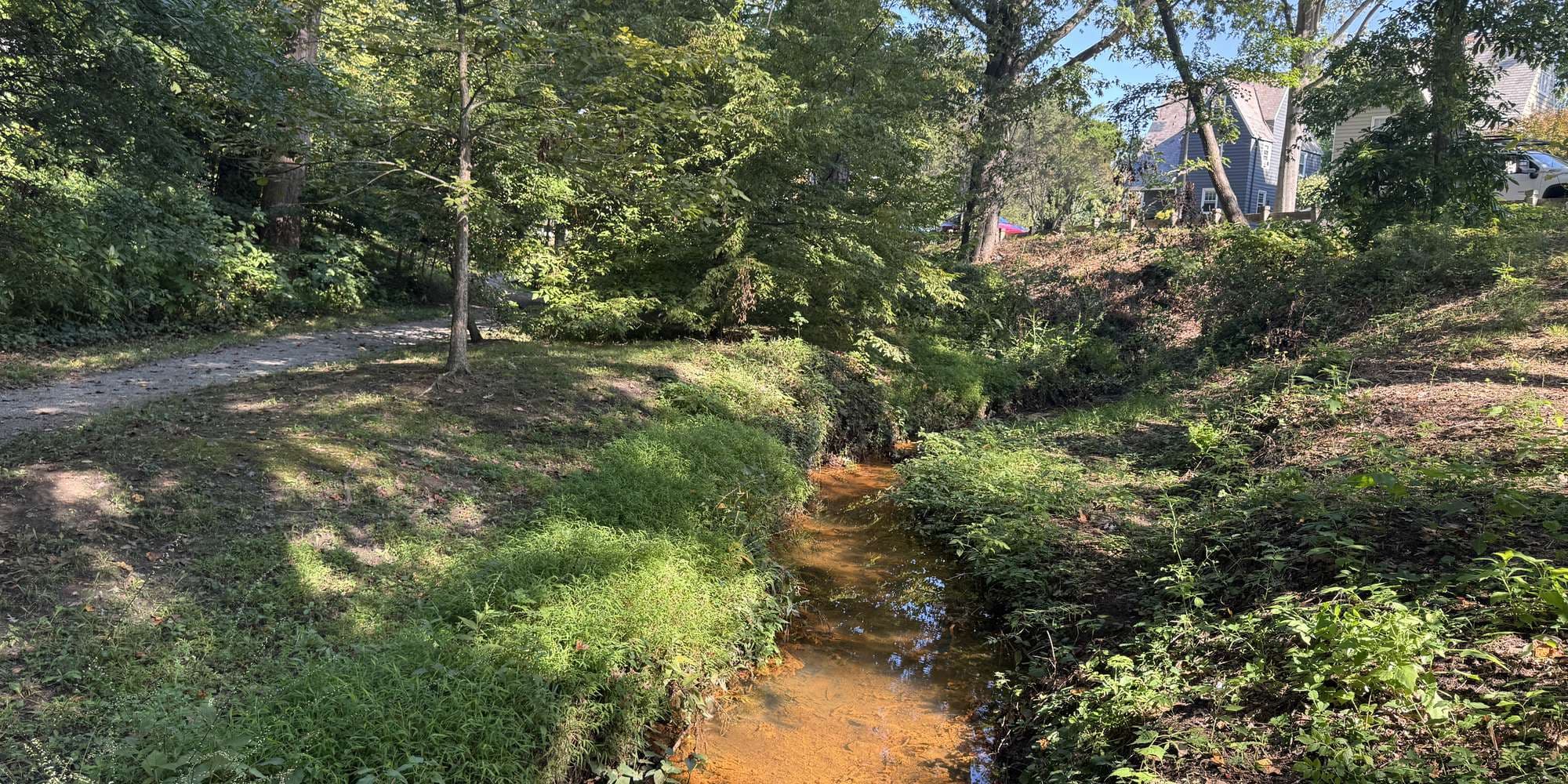 First image to compare