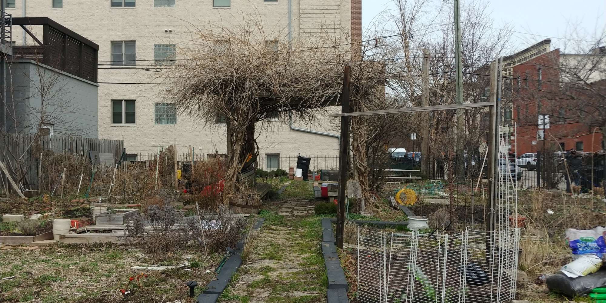 First image to compare