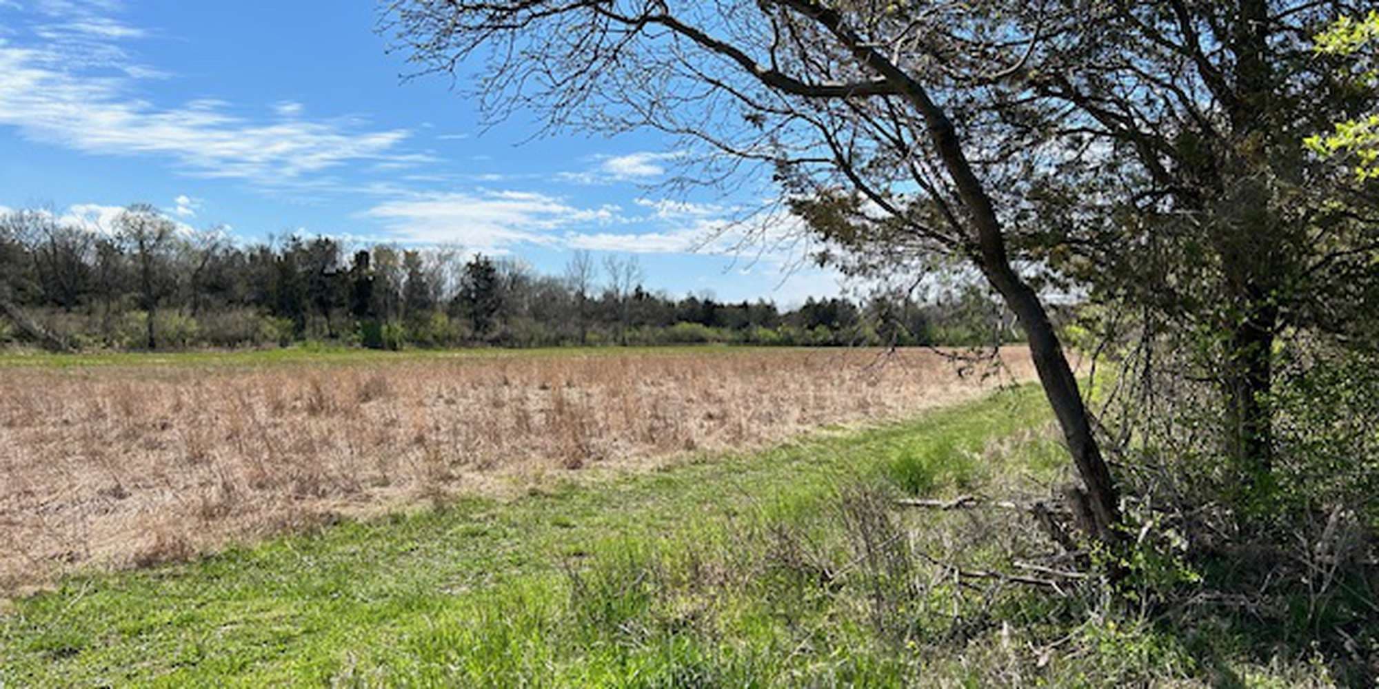 First image to compare