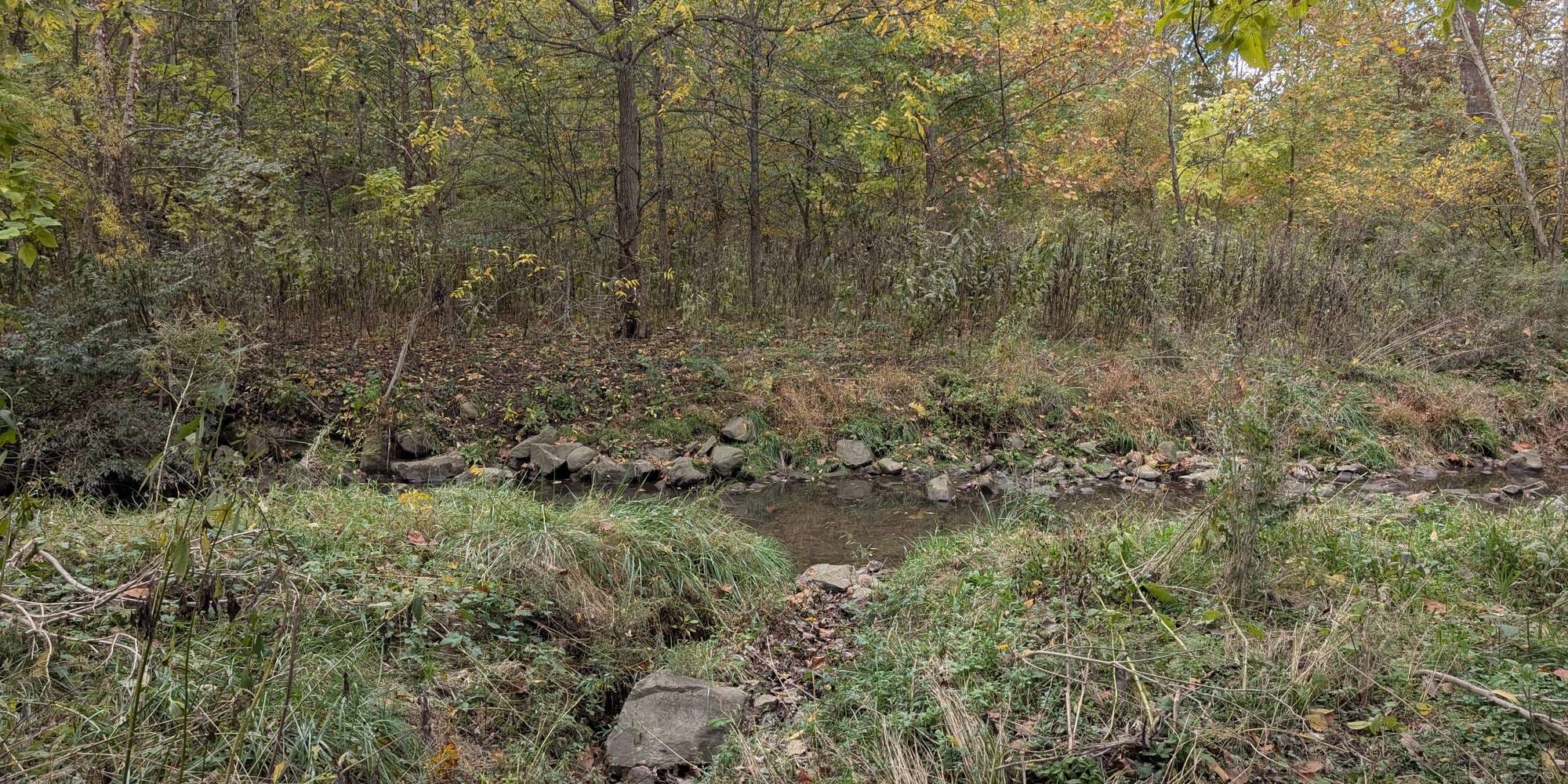 Second image to compare