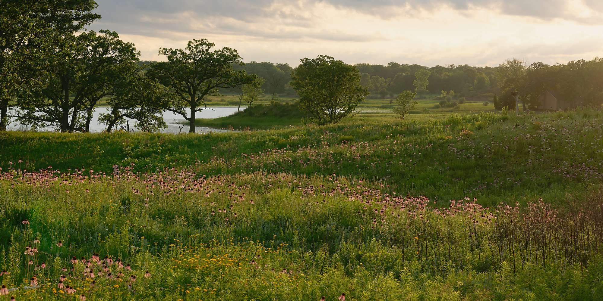 First image to compare