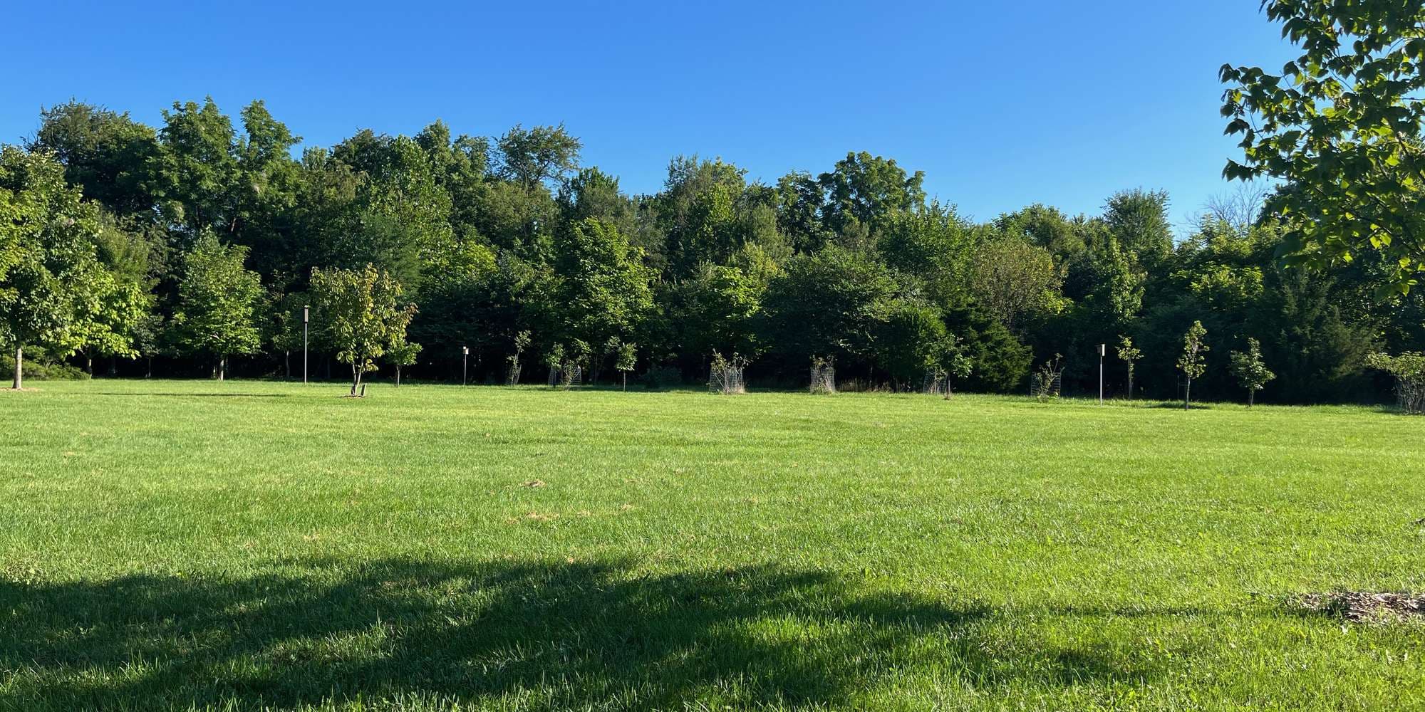 First image to compare