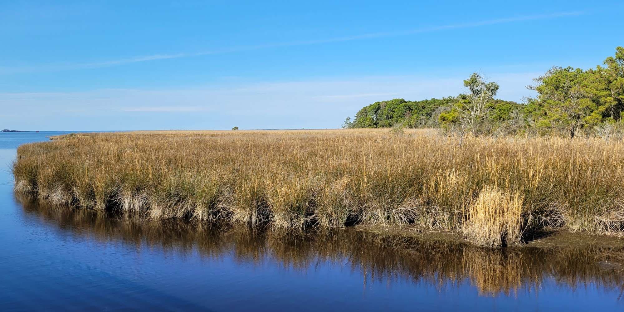 Second image to compare