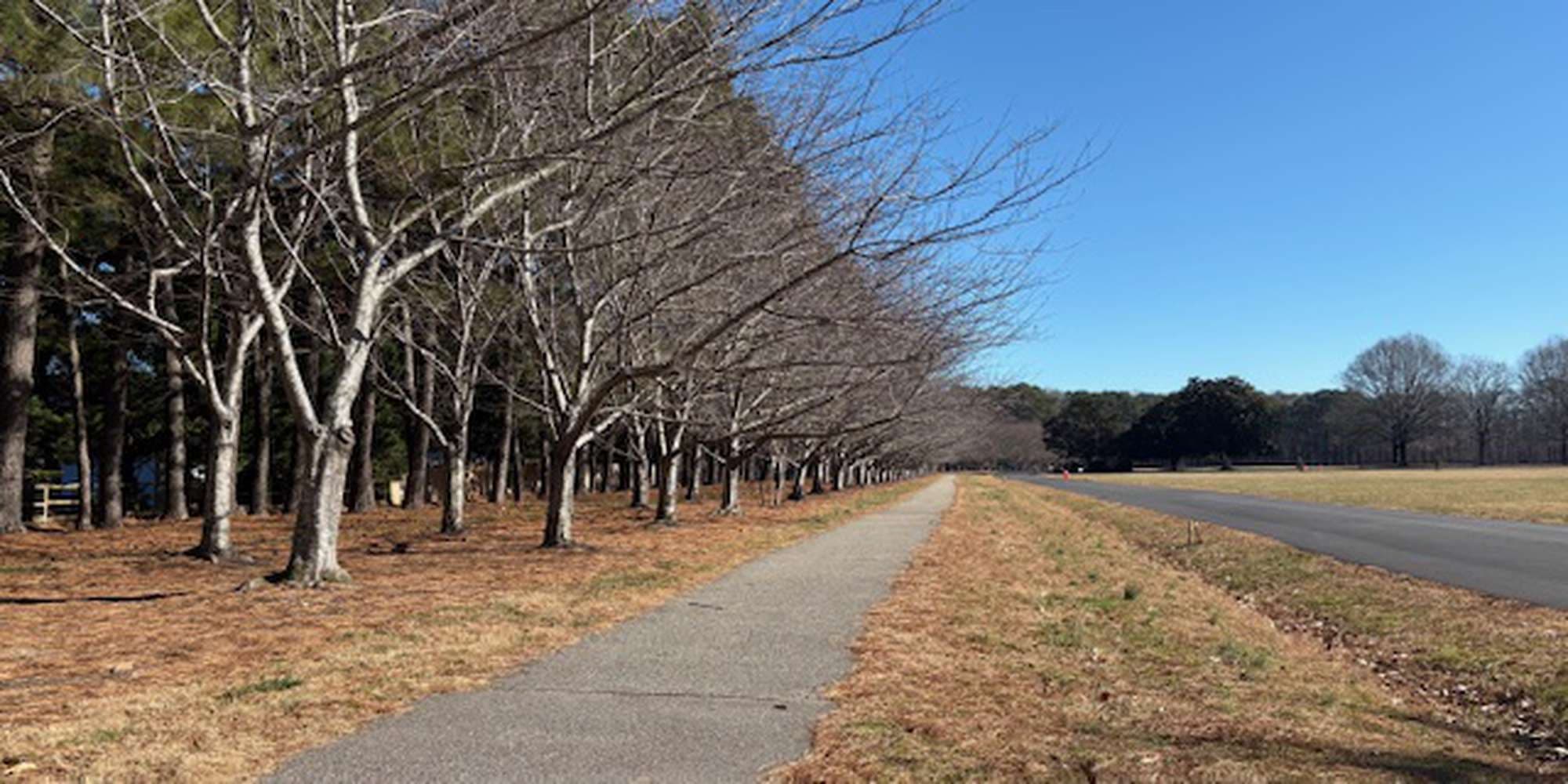 Second image to compare