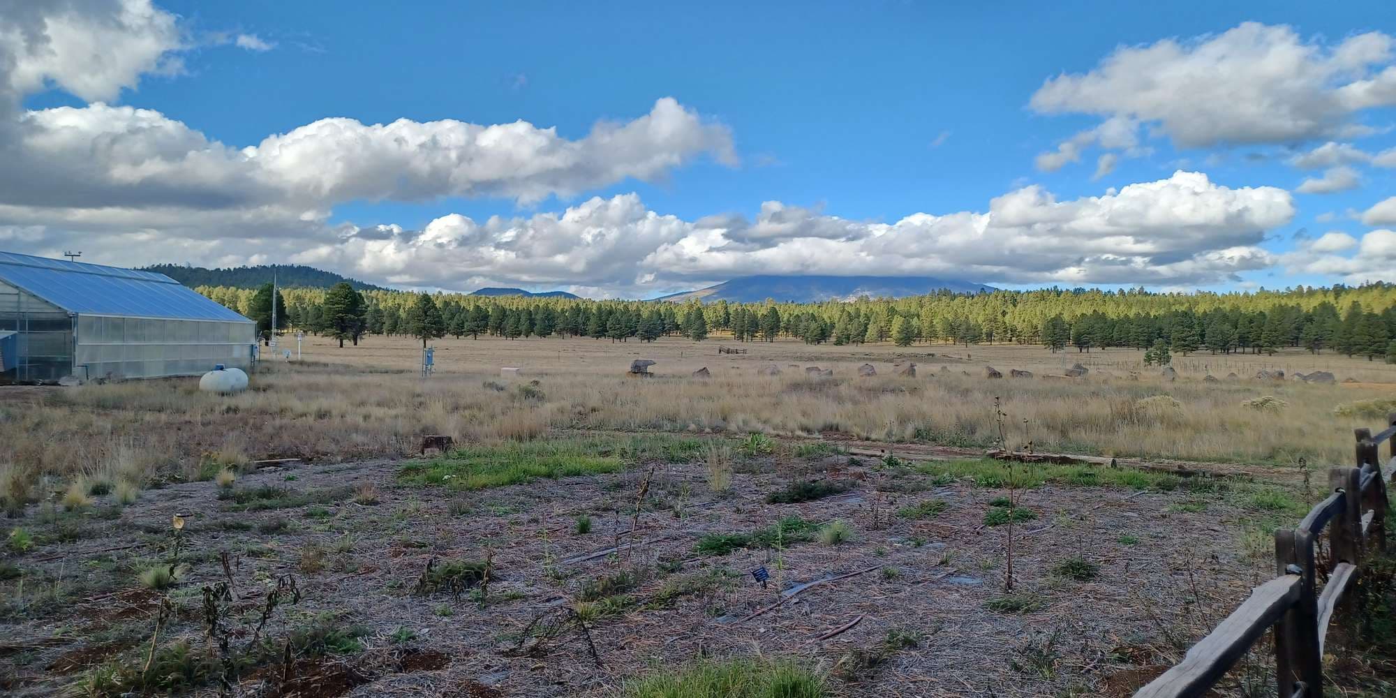 Second image to compare