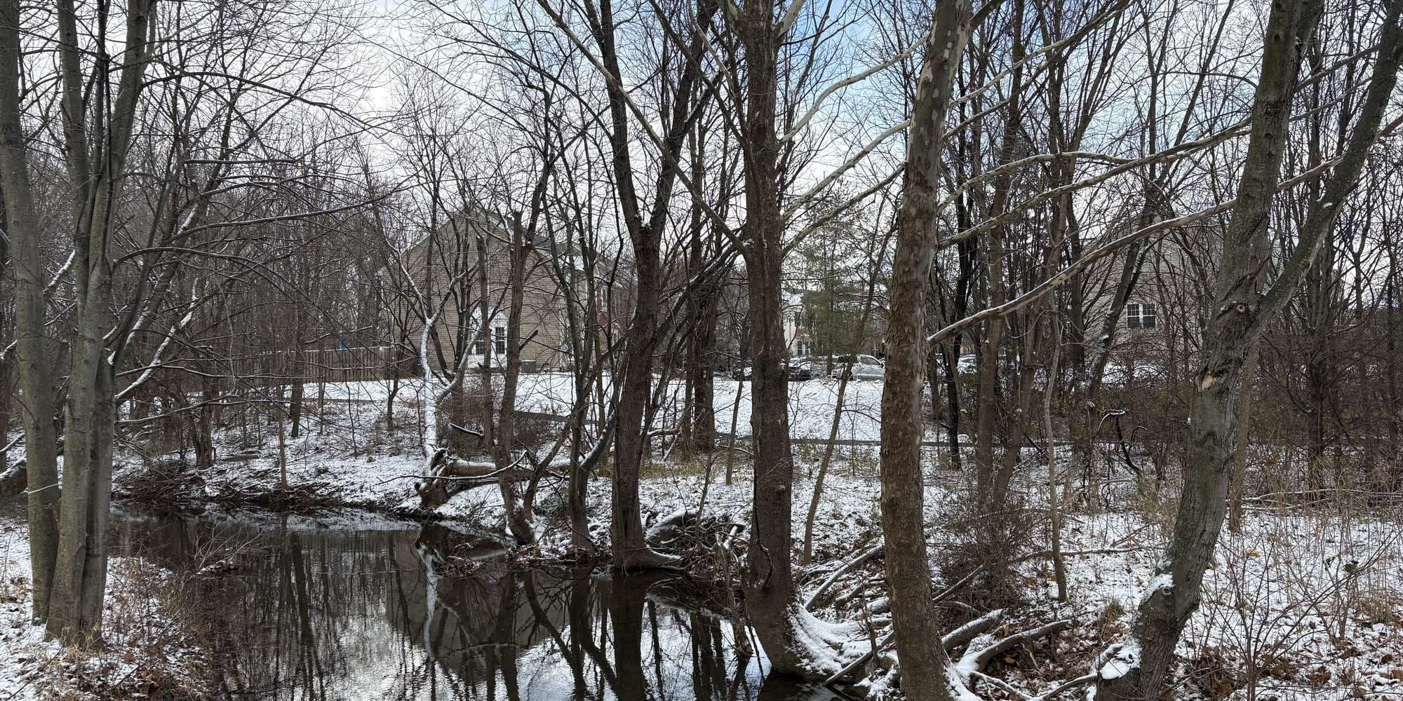 Second image to compare