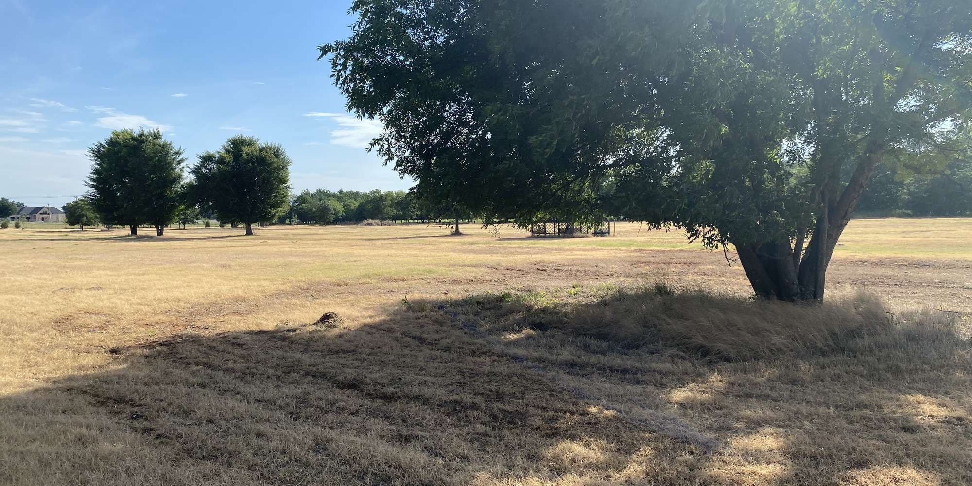 First image to compare