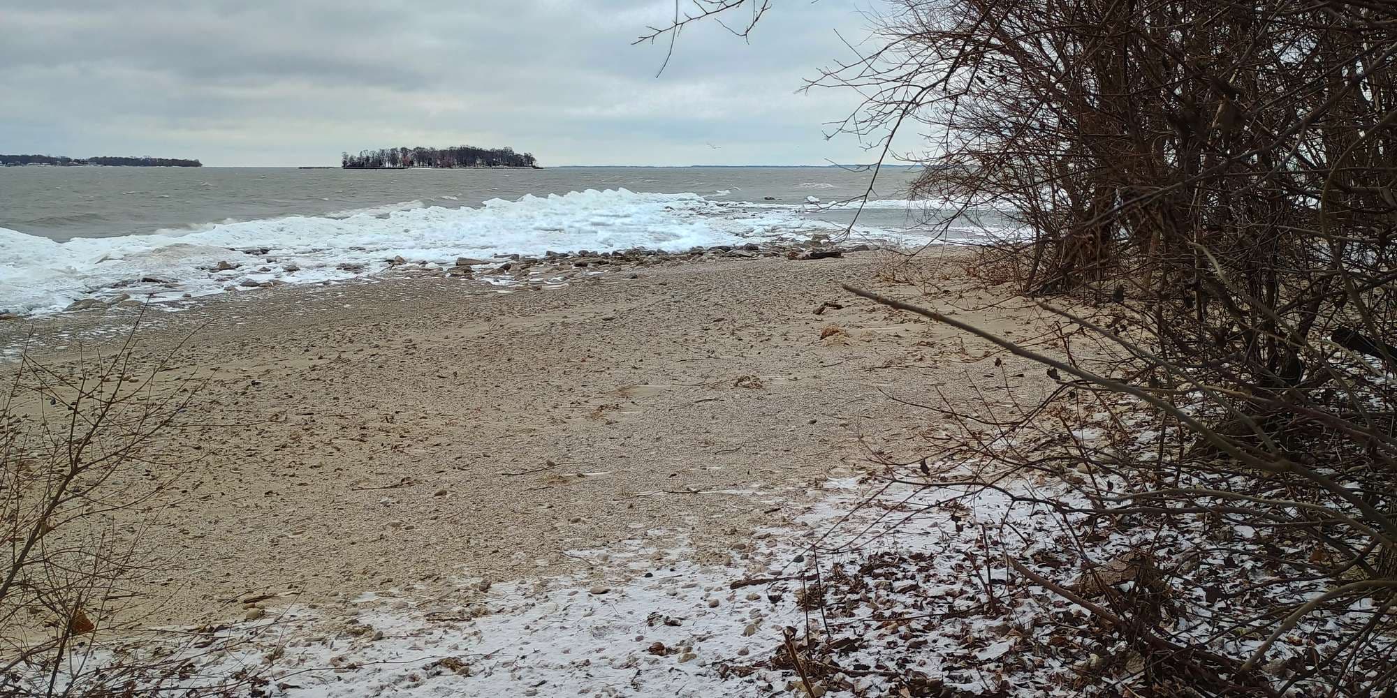 Second image to compare