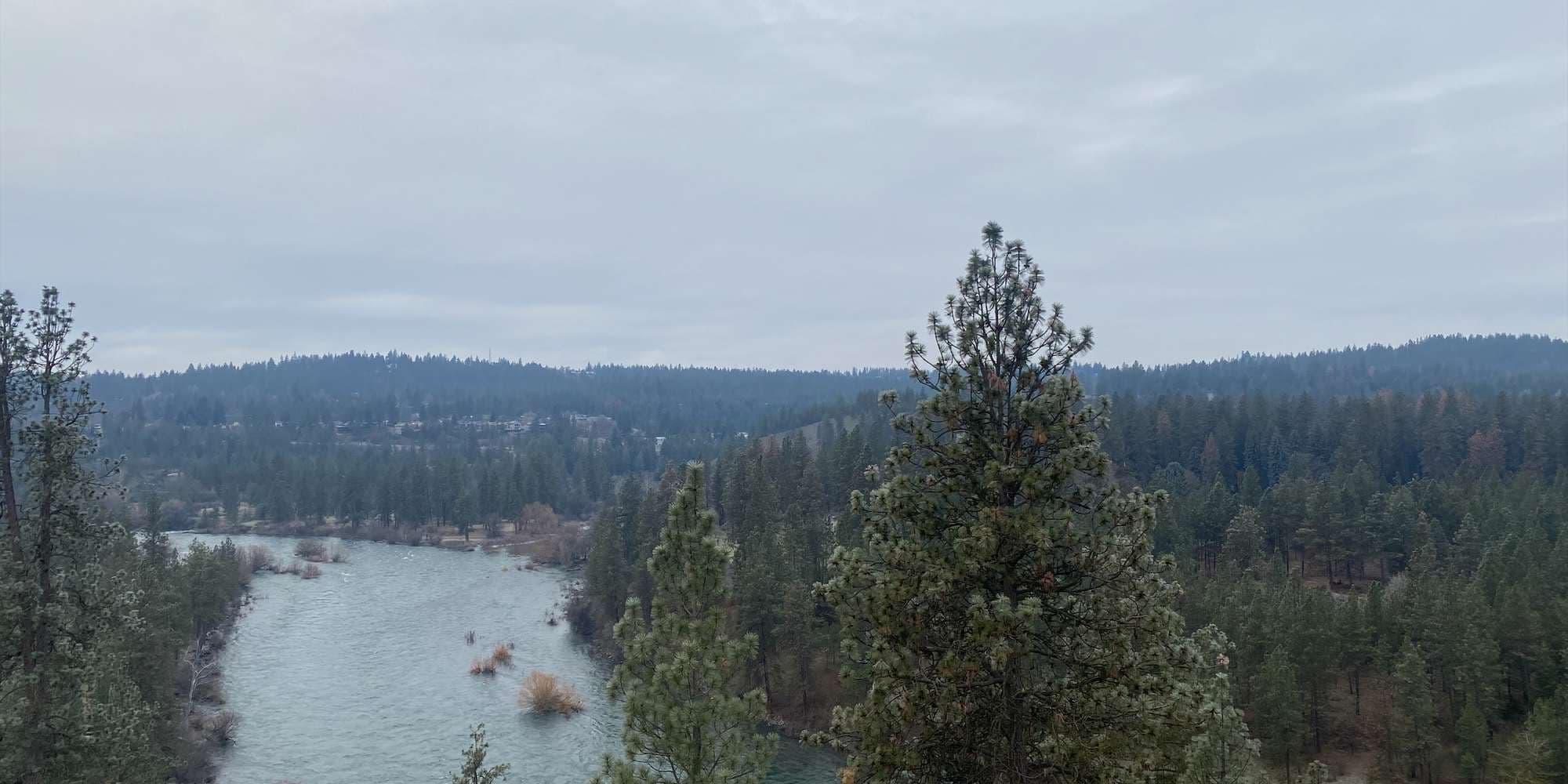 Second image to compare