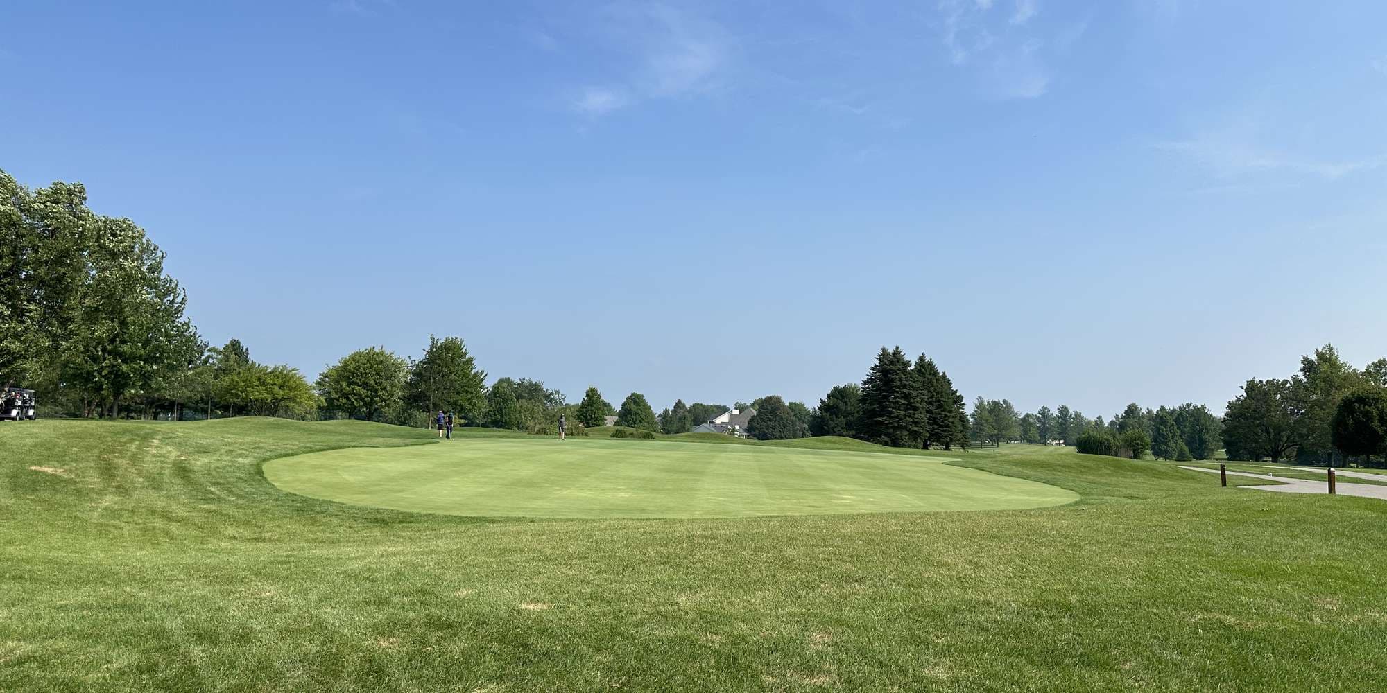 Second image to compare