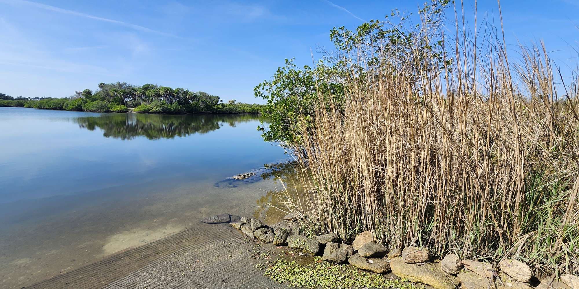 Second image to compare