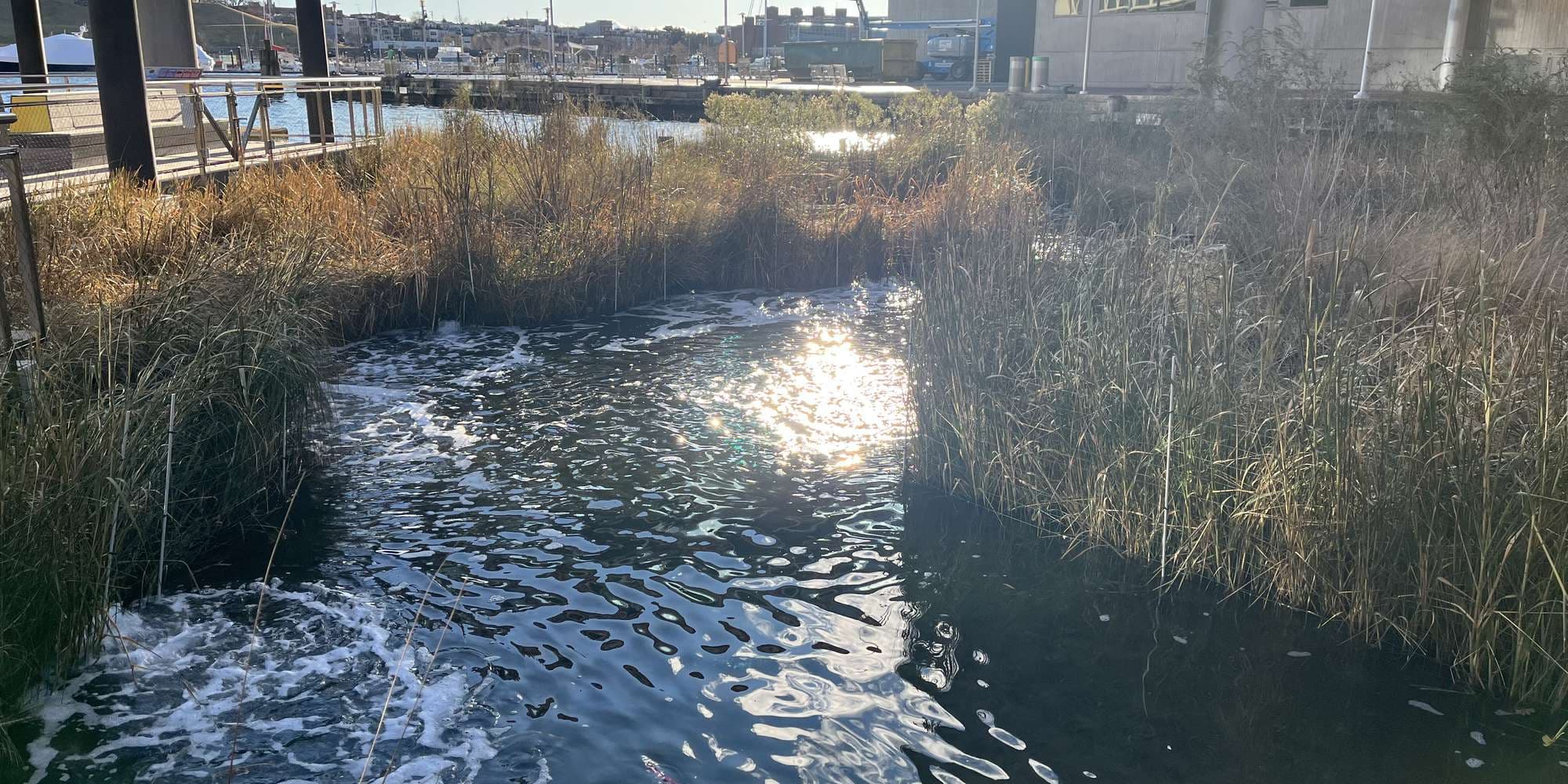 Second image to compare