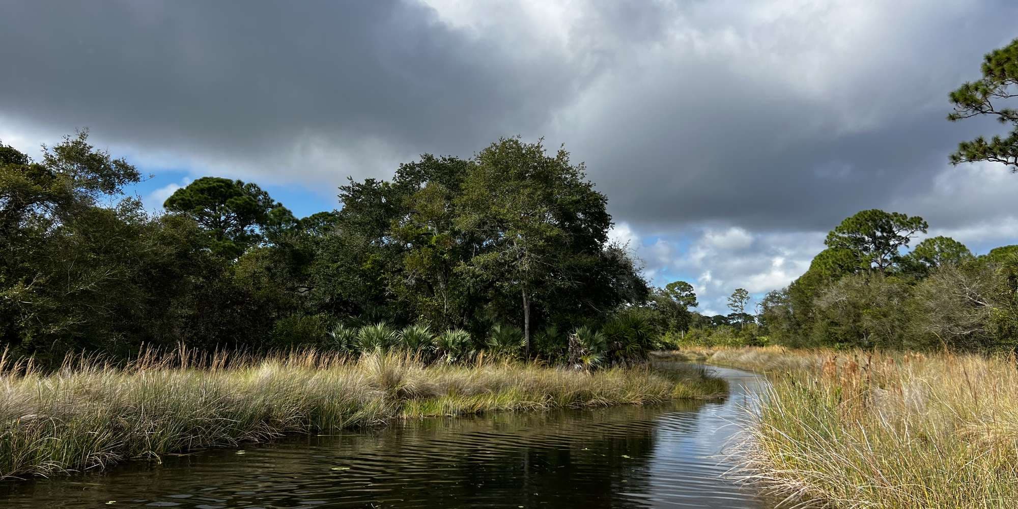 Second image to compare