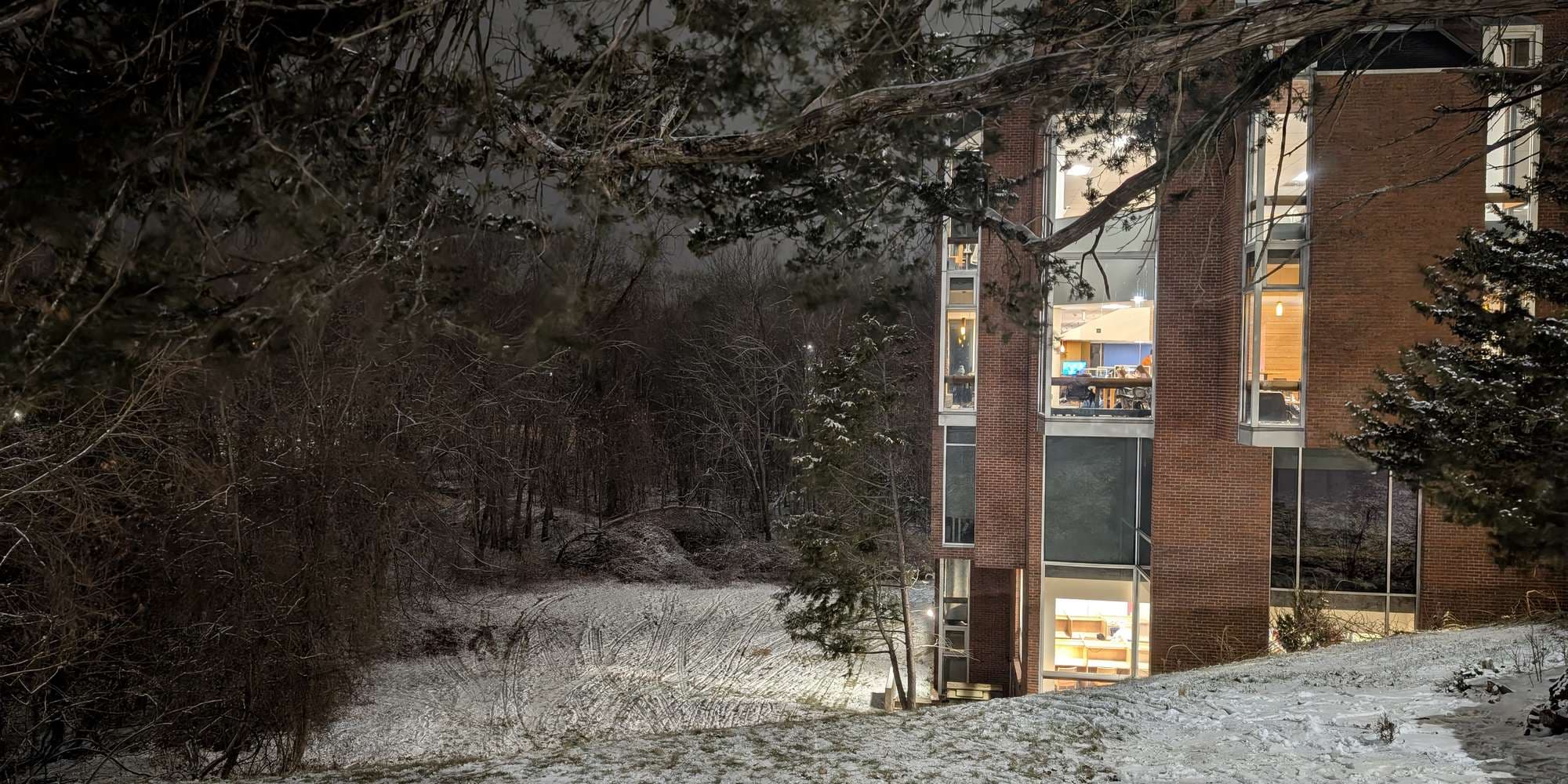 Second image to compare